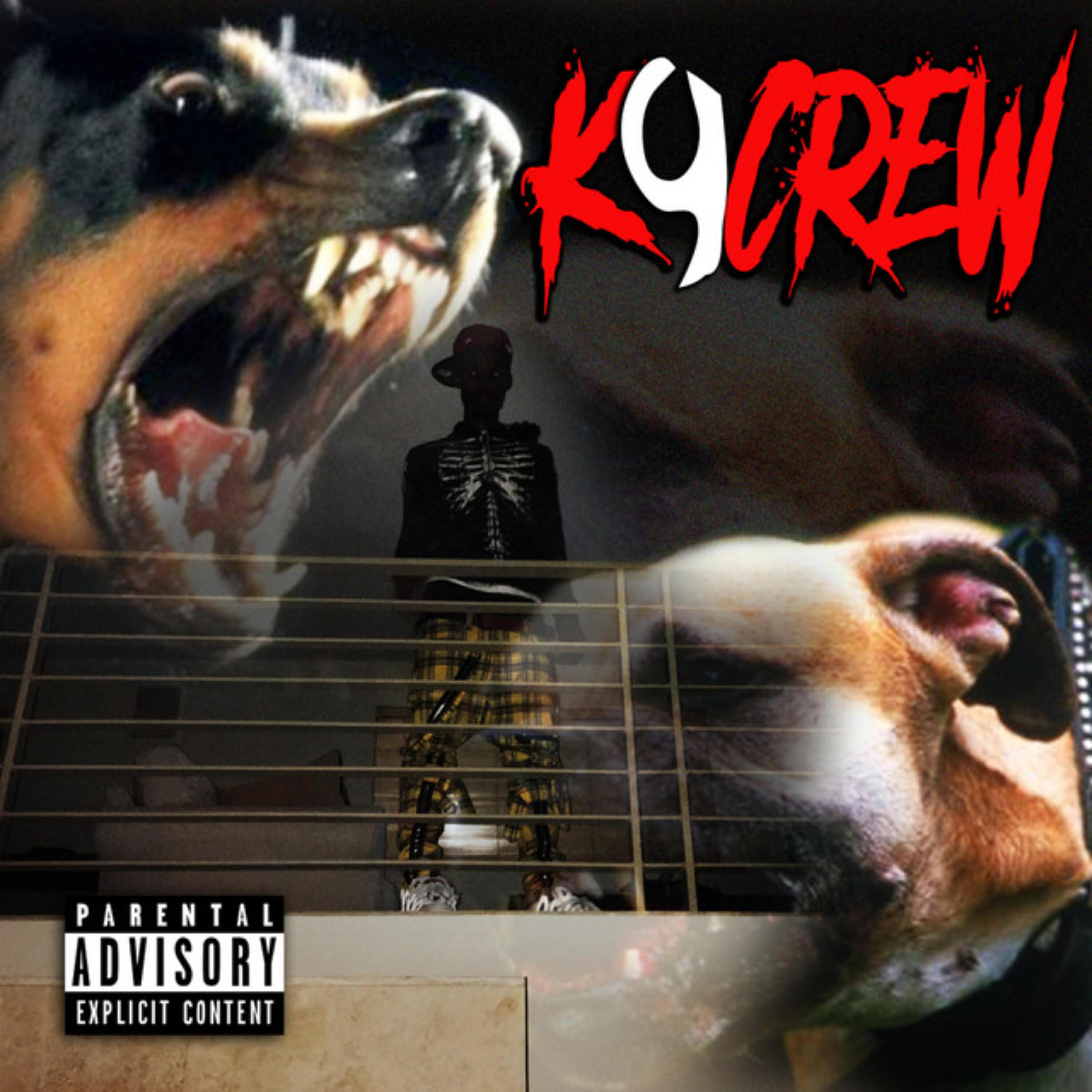 Релиз K9 CREW