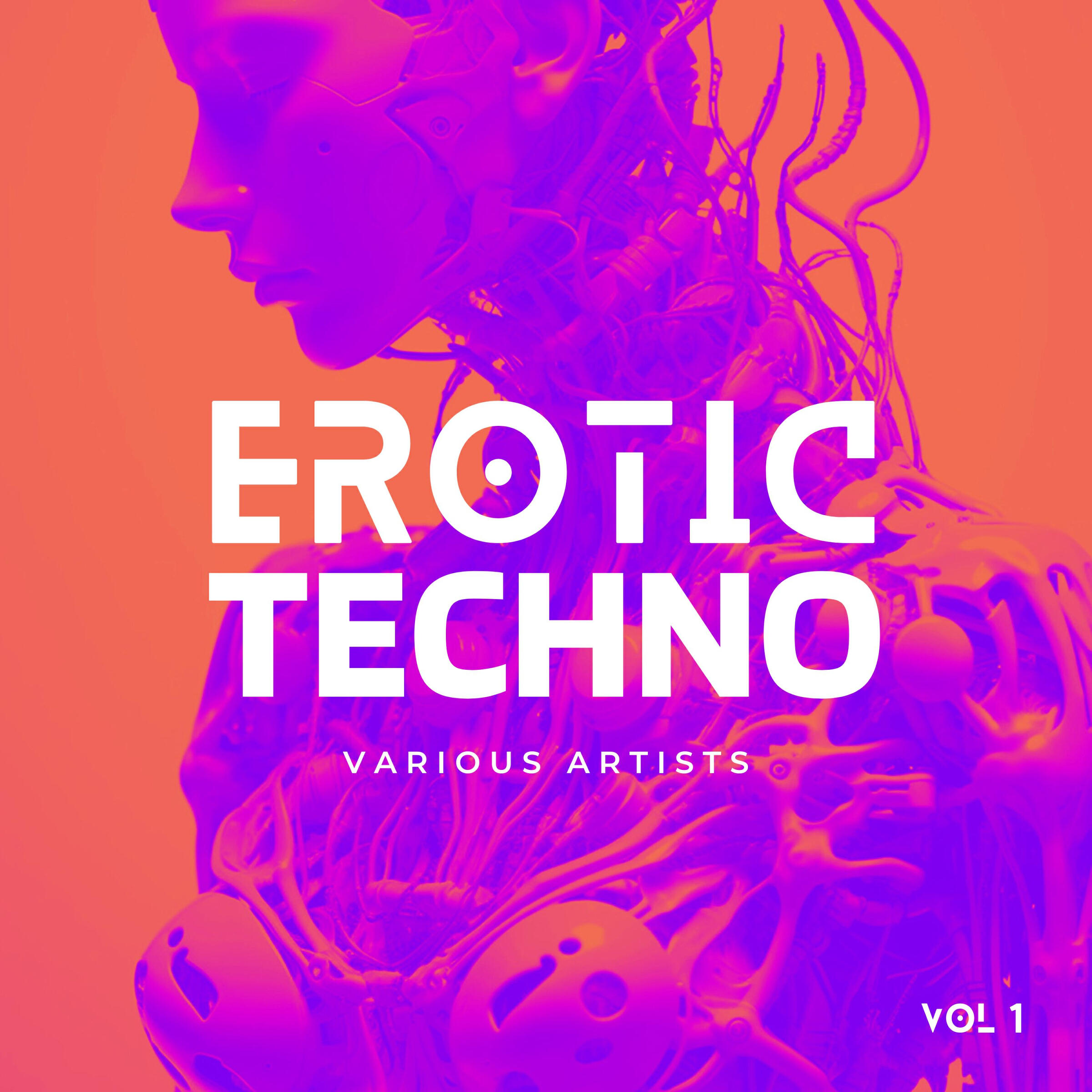 Релиз Erotic Techno, Vol. 1