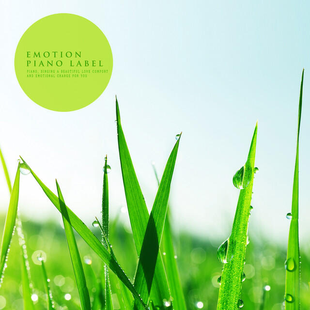 Трек Letter To You