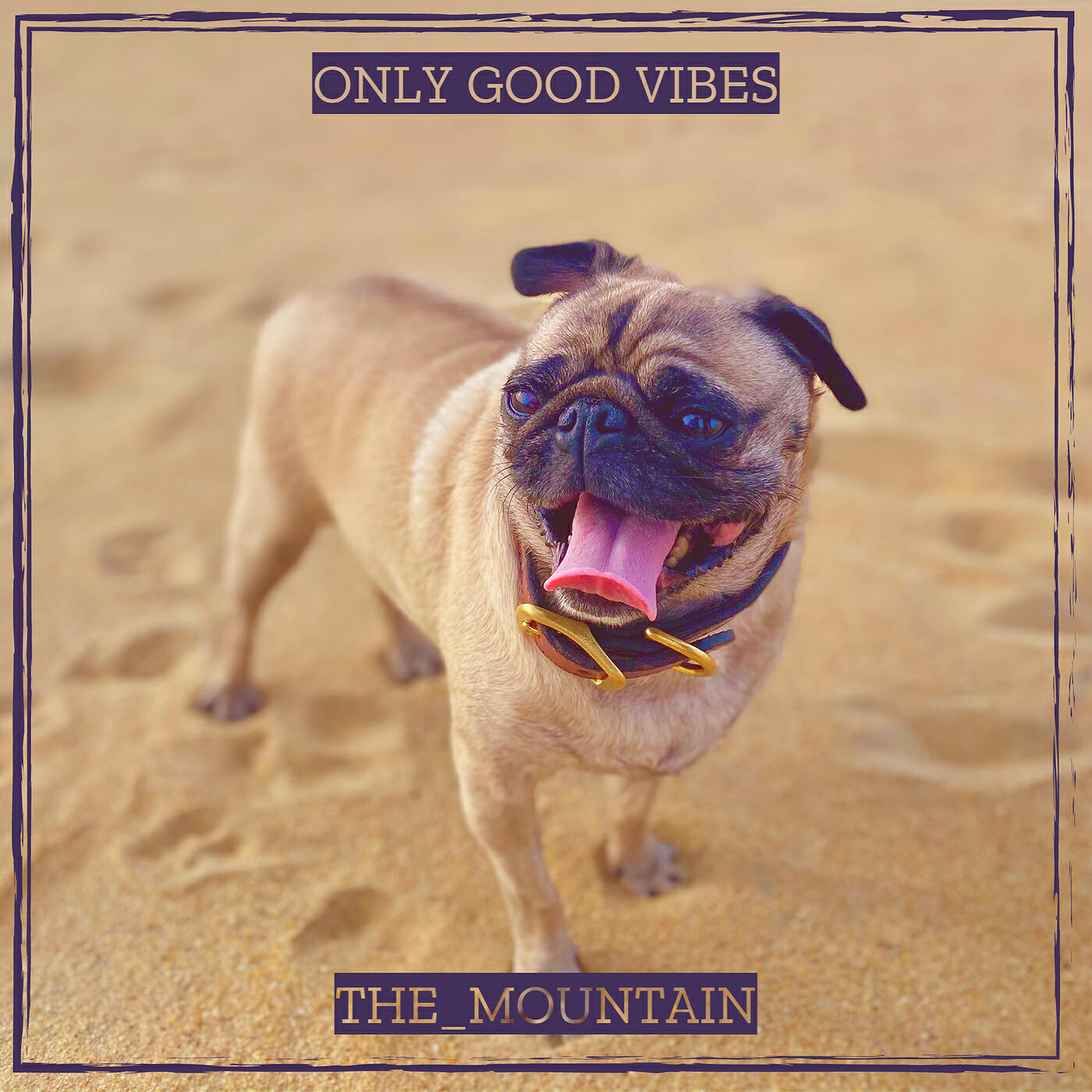 Релиз Only Good Vibes