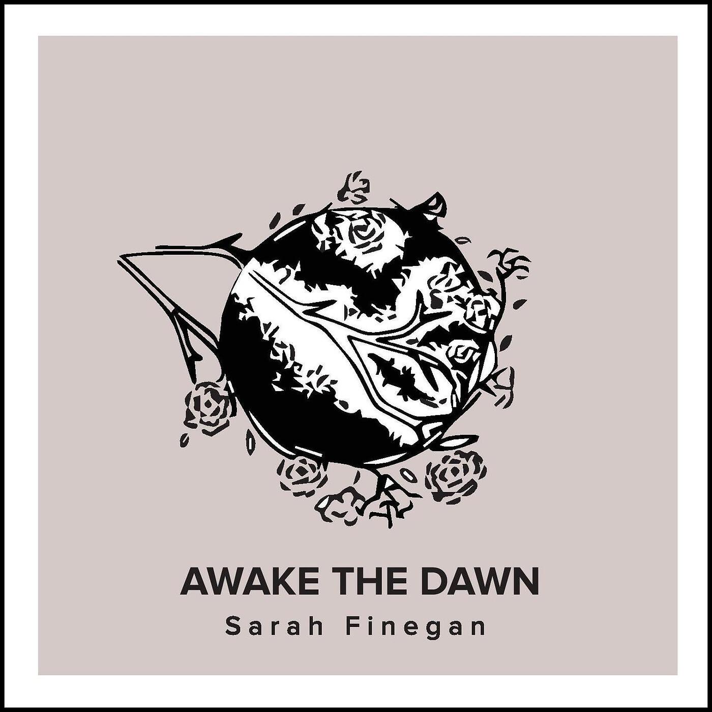 Релиз Awake the Dawn