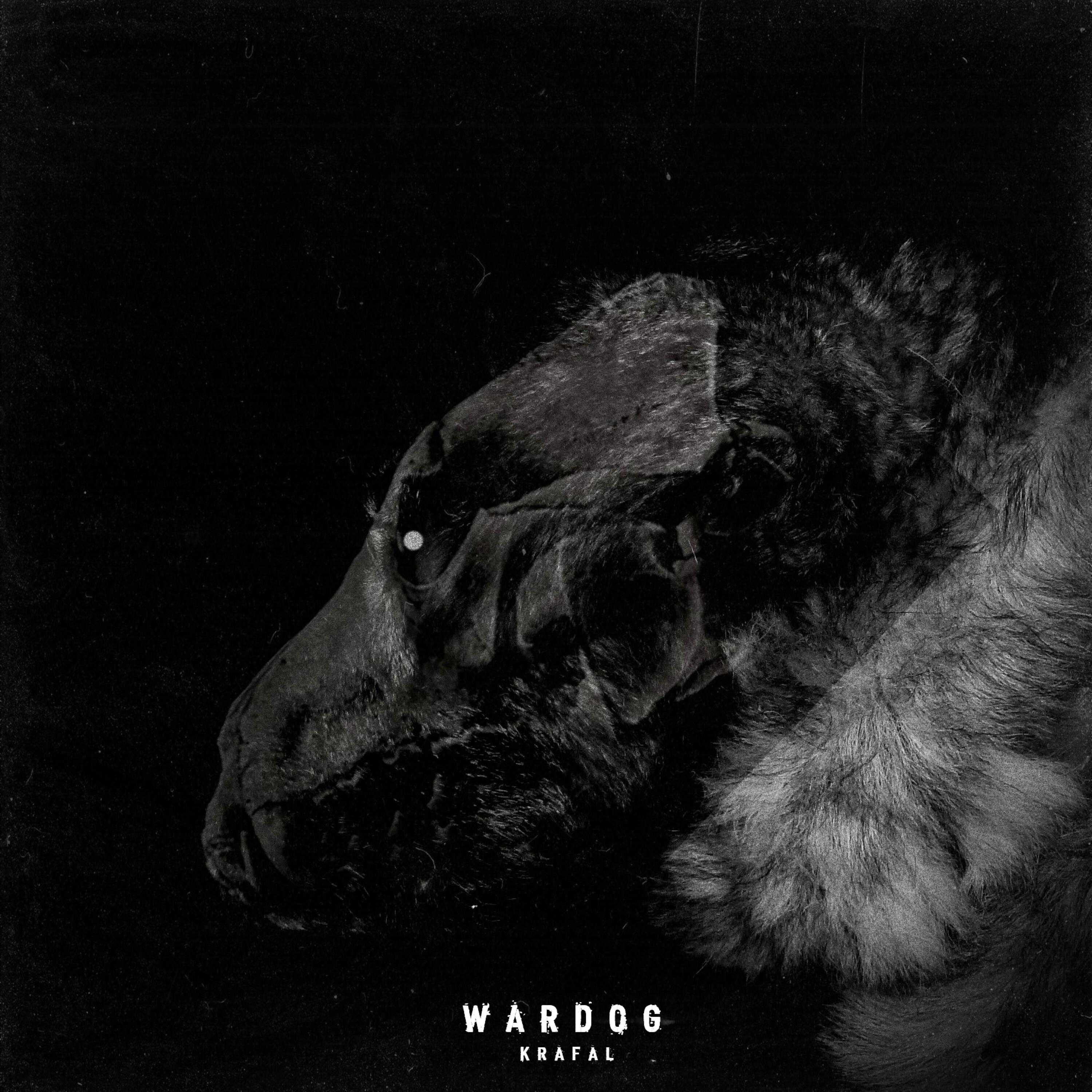 Постер альбома Wardog