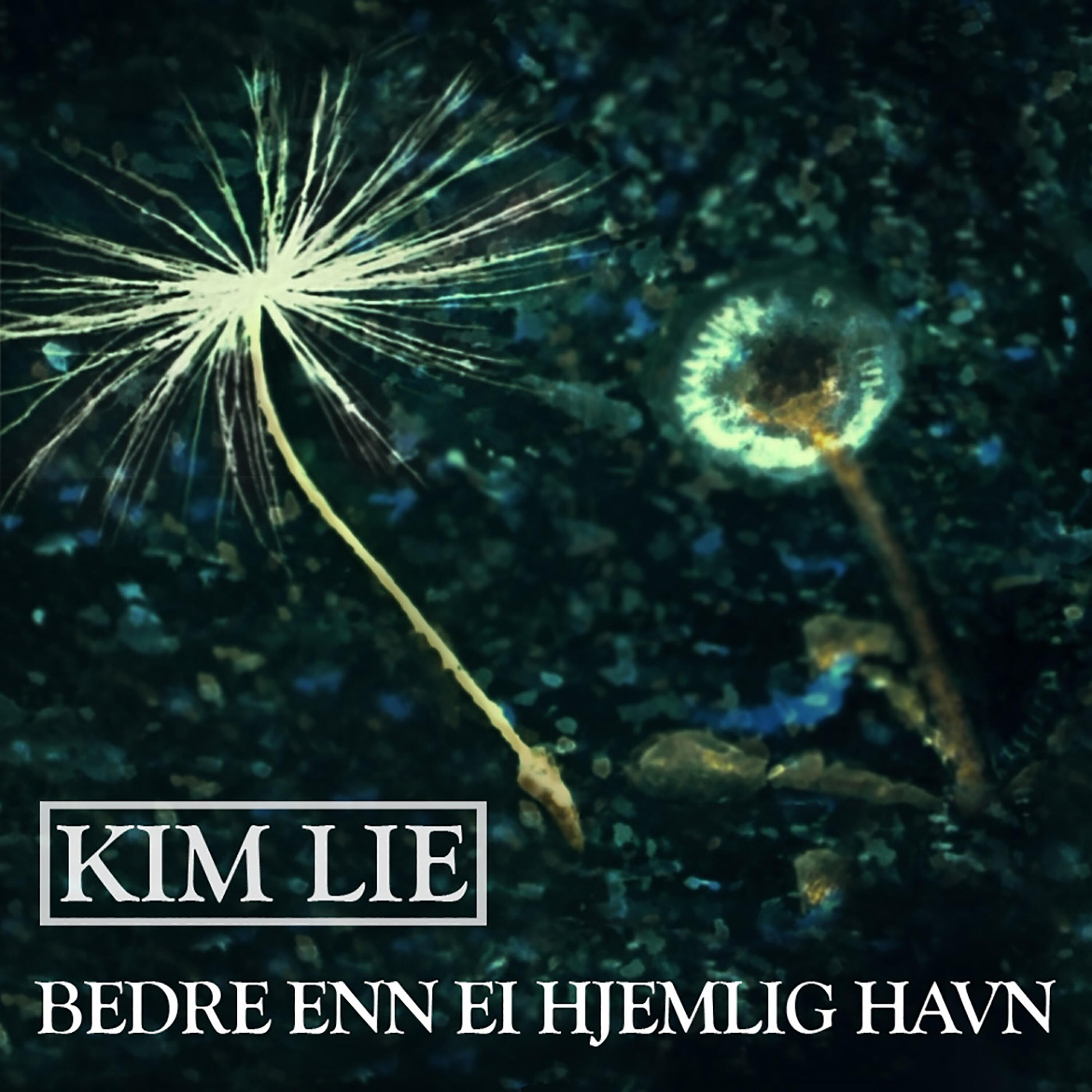 Релиз Bedre enn ei hjemlig havn
