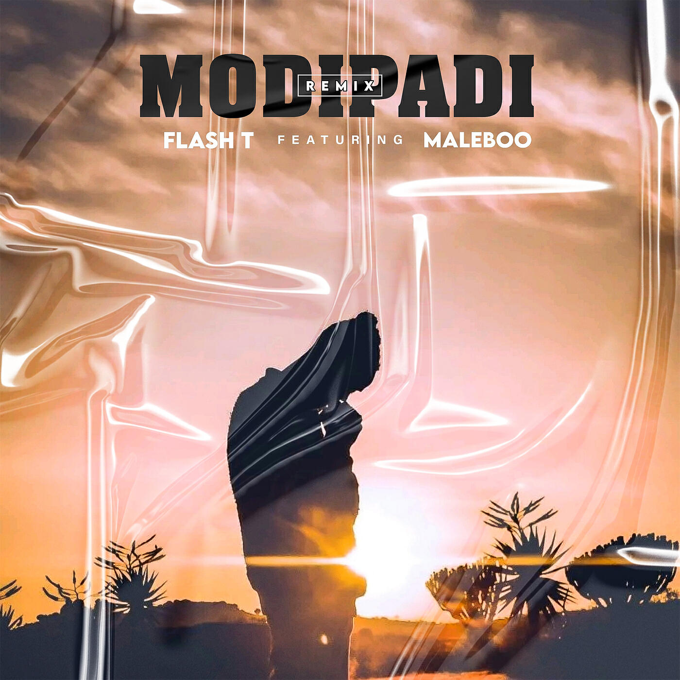 Релиз Modipadi Remix