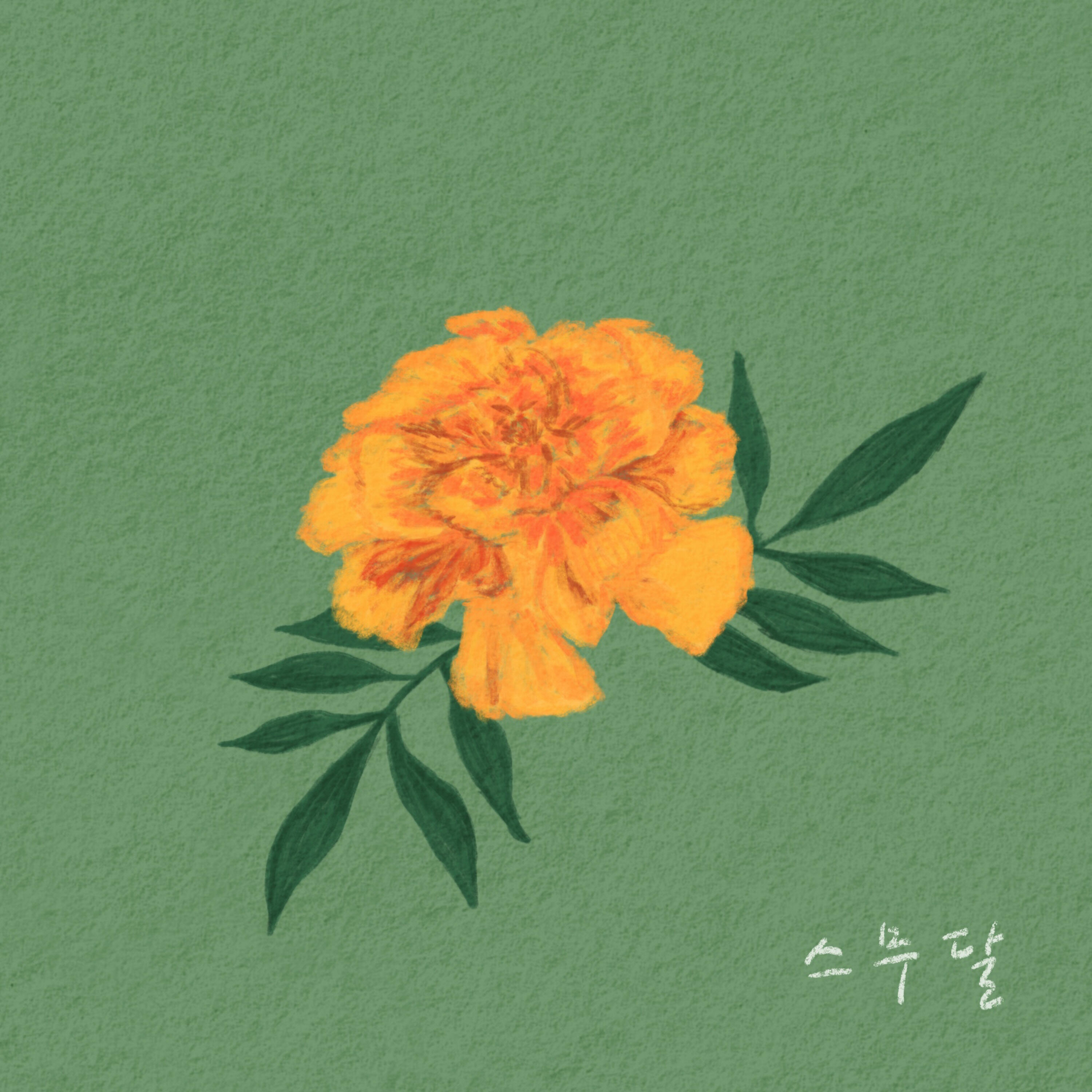 Релиз Calendula