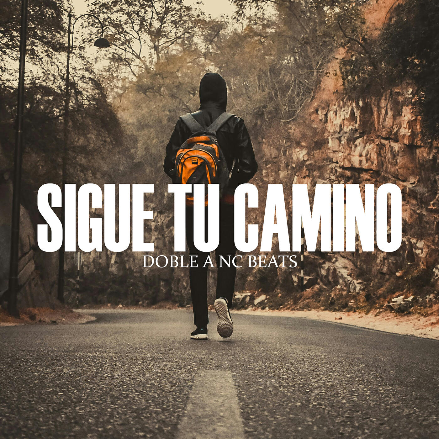 Релиз Sigue Tu Camino