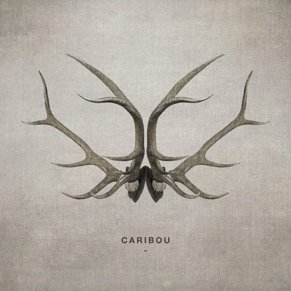 Релиз Caribou (feat. Cubus)