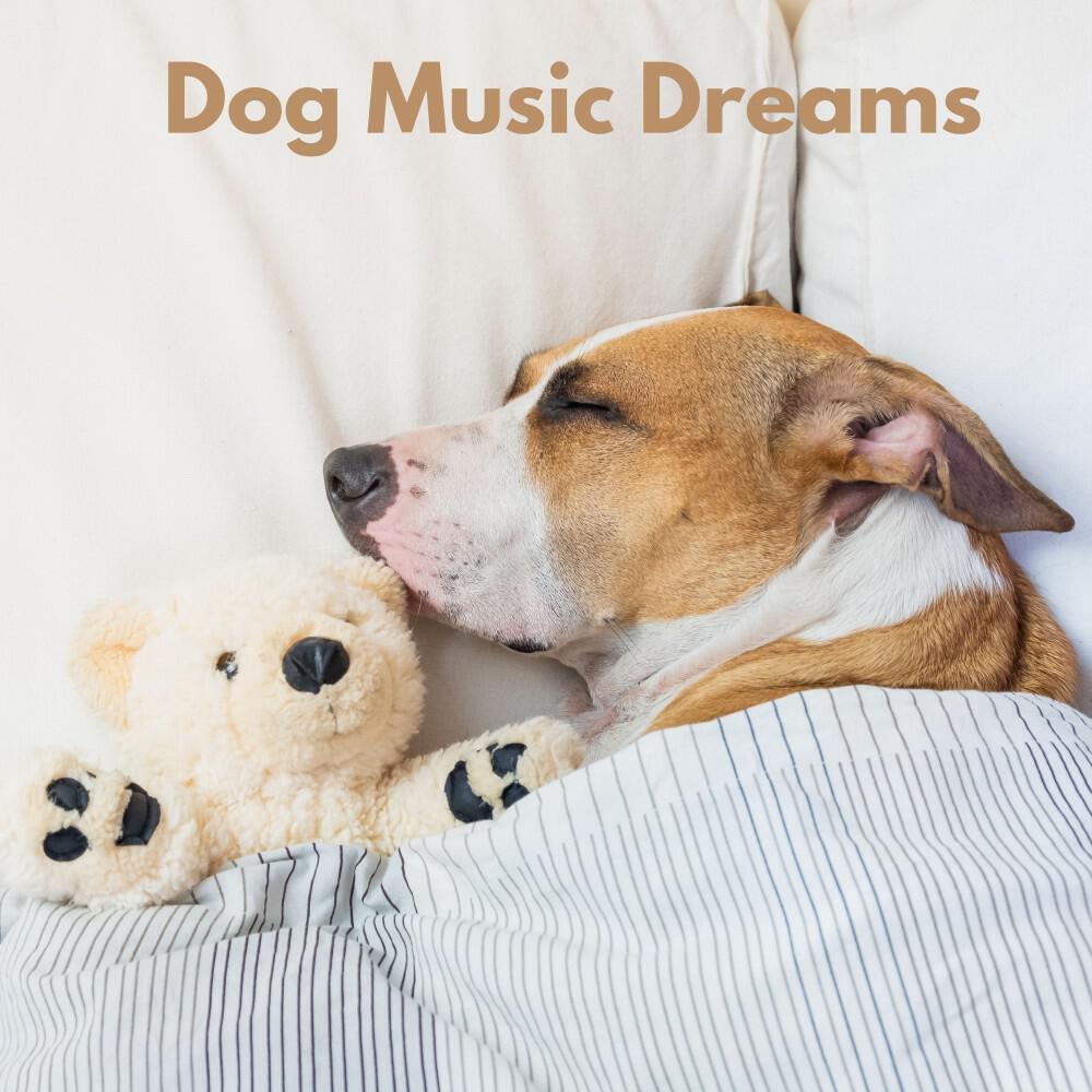 Релиз Dog Music Dreams