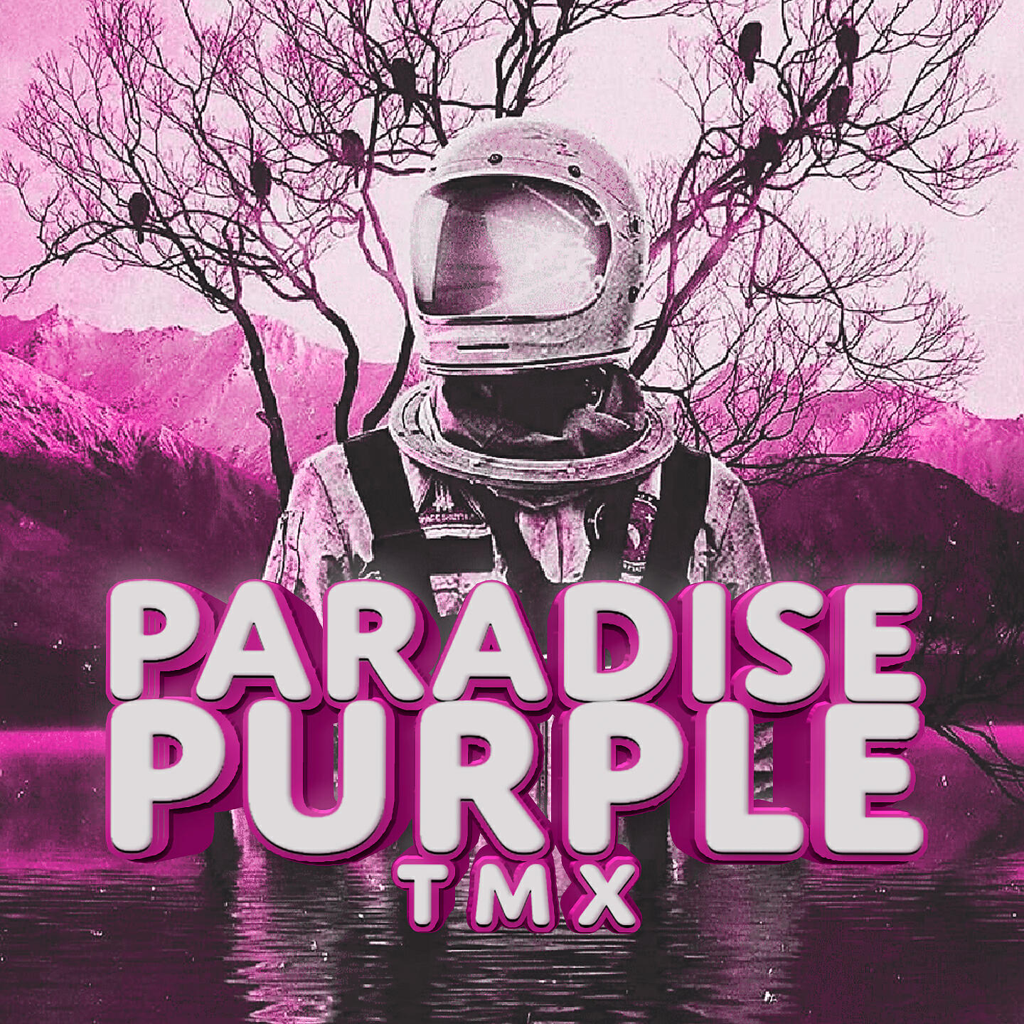 Релиз Paradise Purple