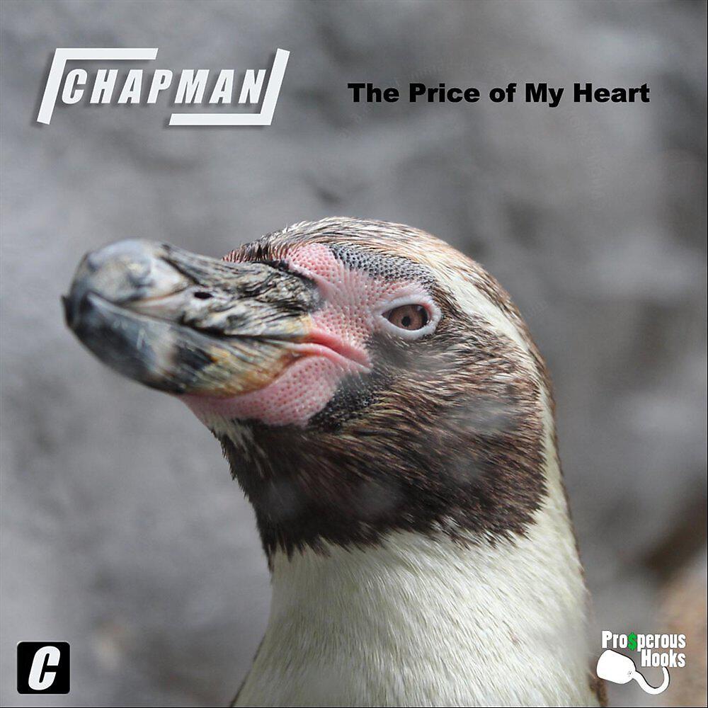 Релиз The Price of My Heart