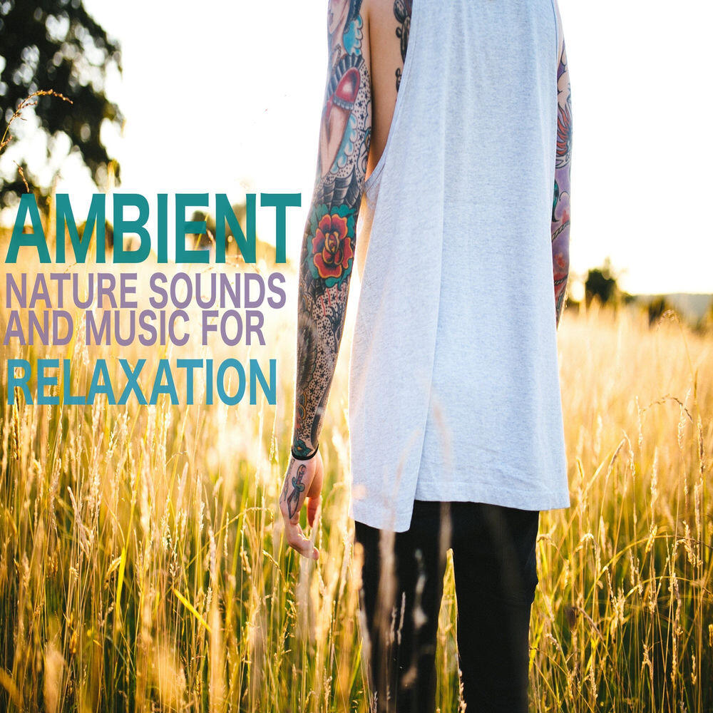 Релиз Ambient Nature Sounds and Music for Relaxation