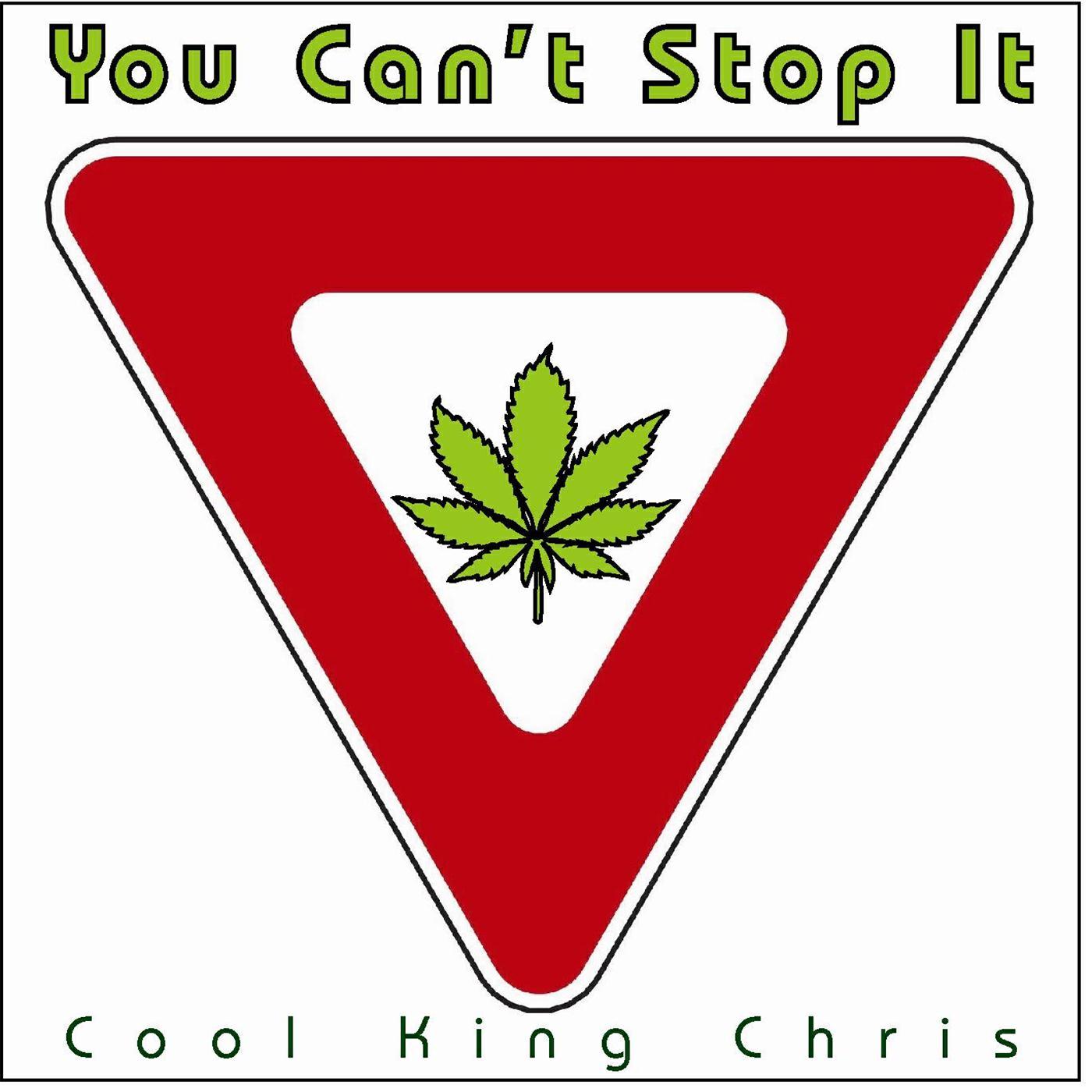 Релиз You Can't Stop It