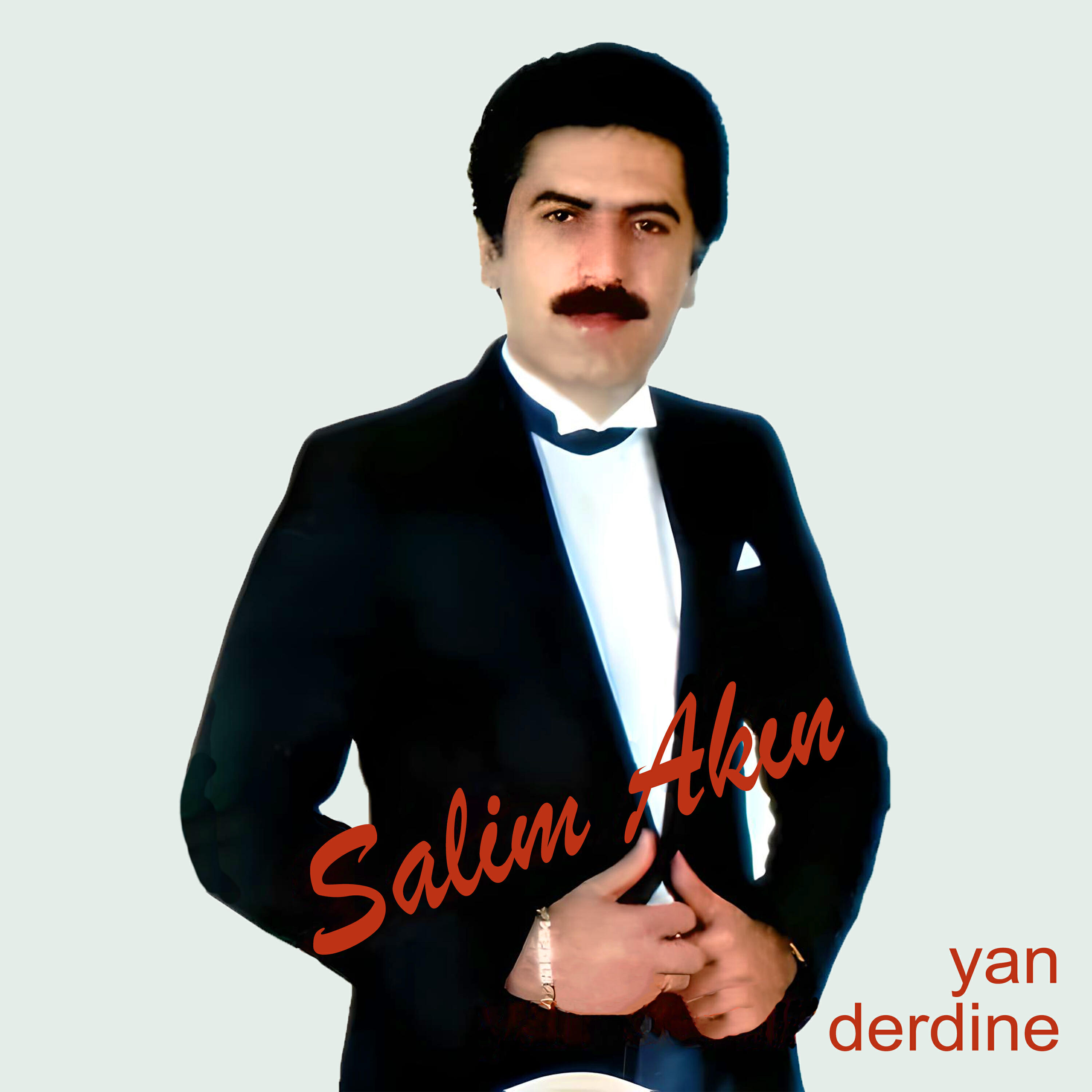 Релиз Yan Derdine