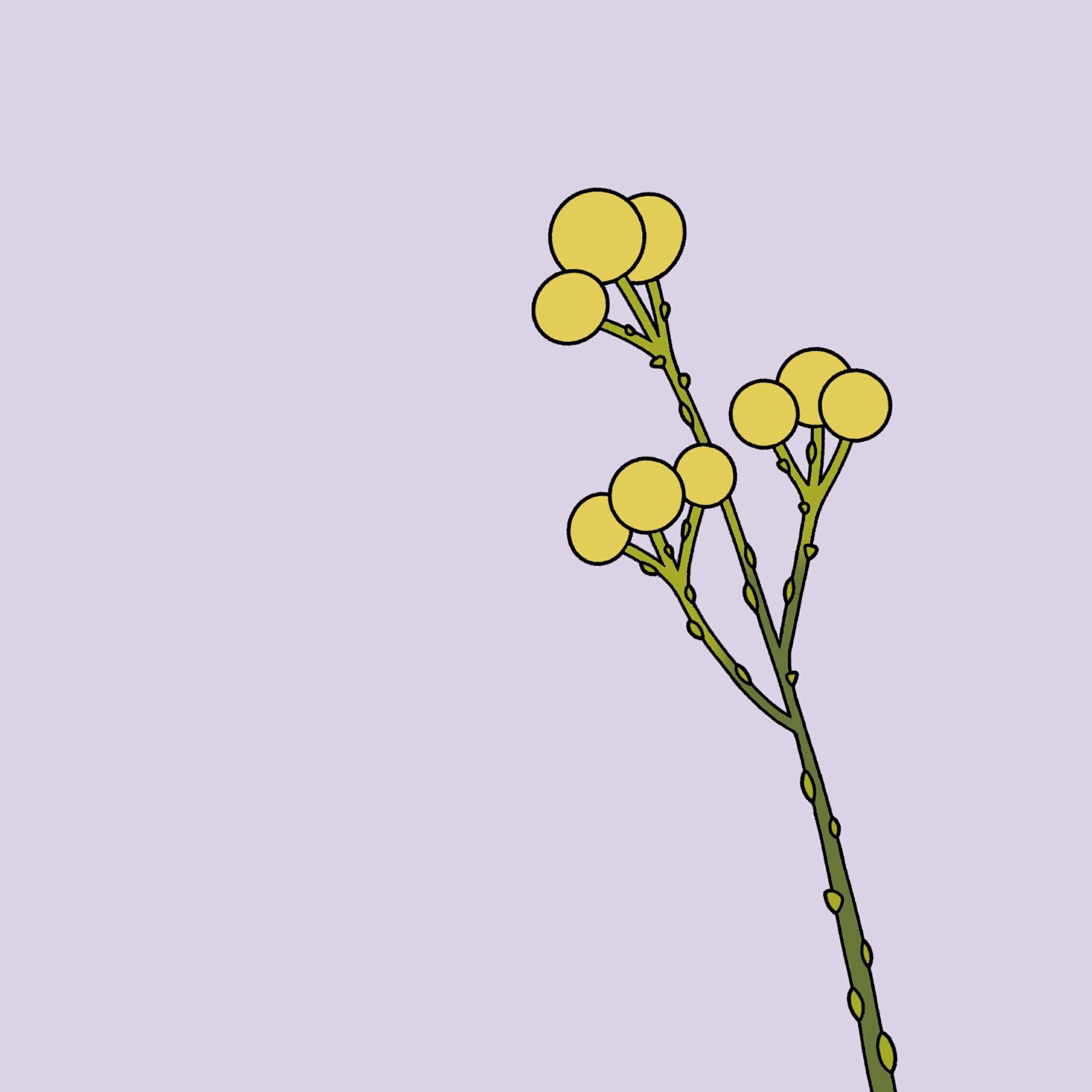 Релиз Petit sujet de Galaxe