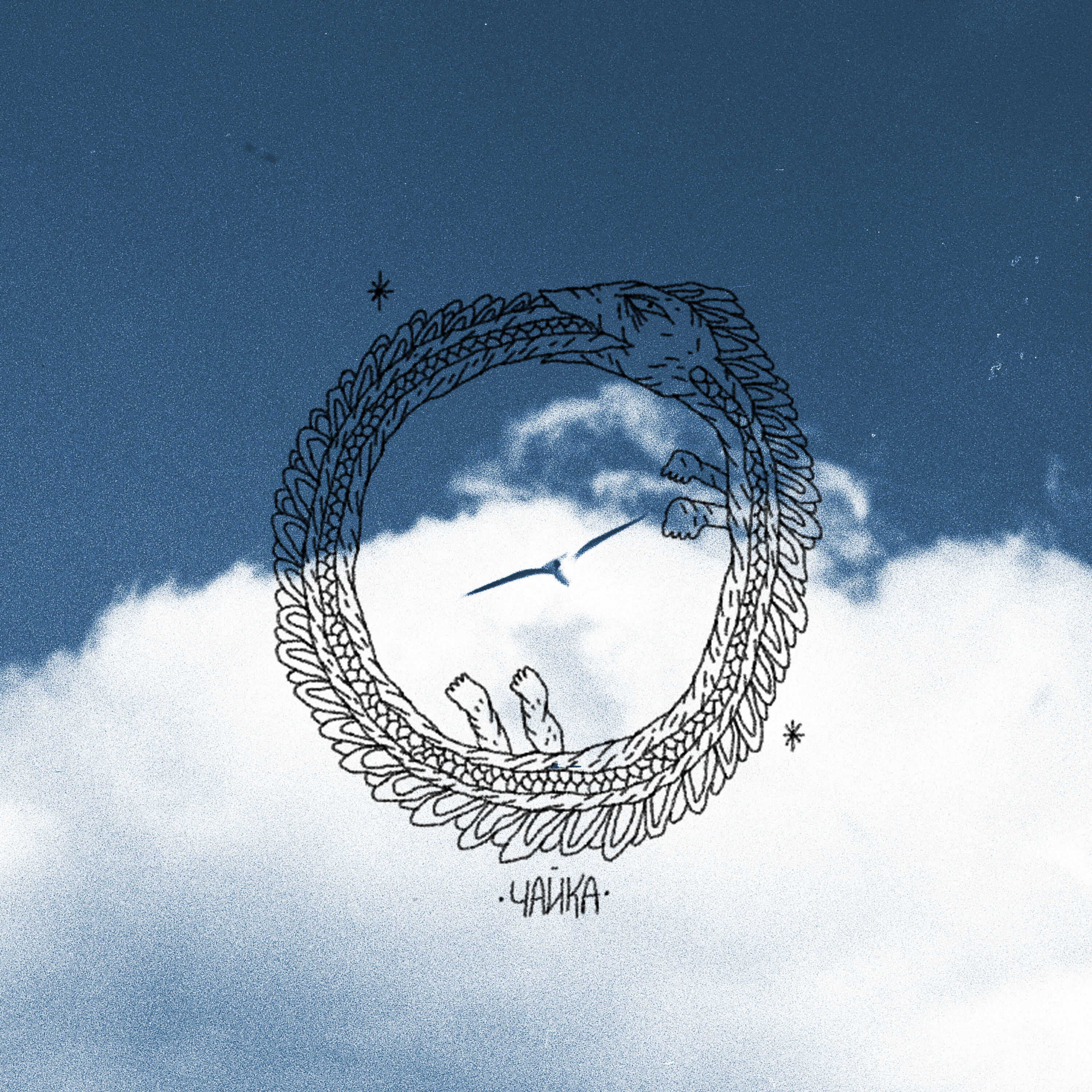 Релиз чайка