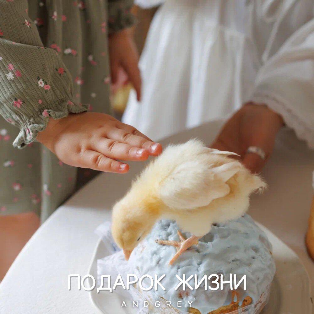 Релиз Подарок жизни