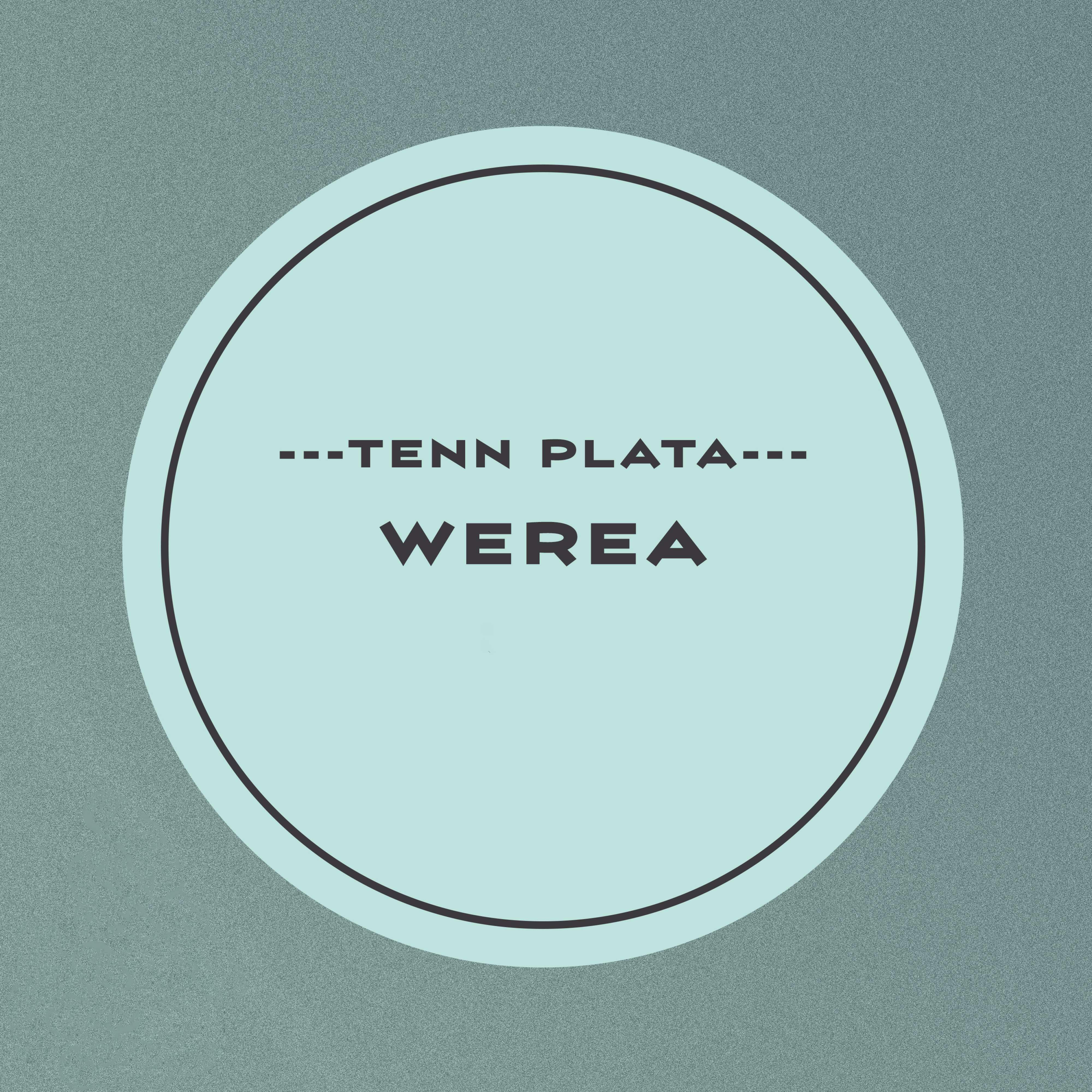 Релиз Werea