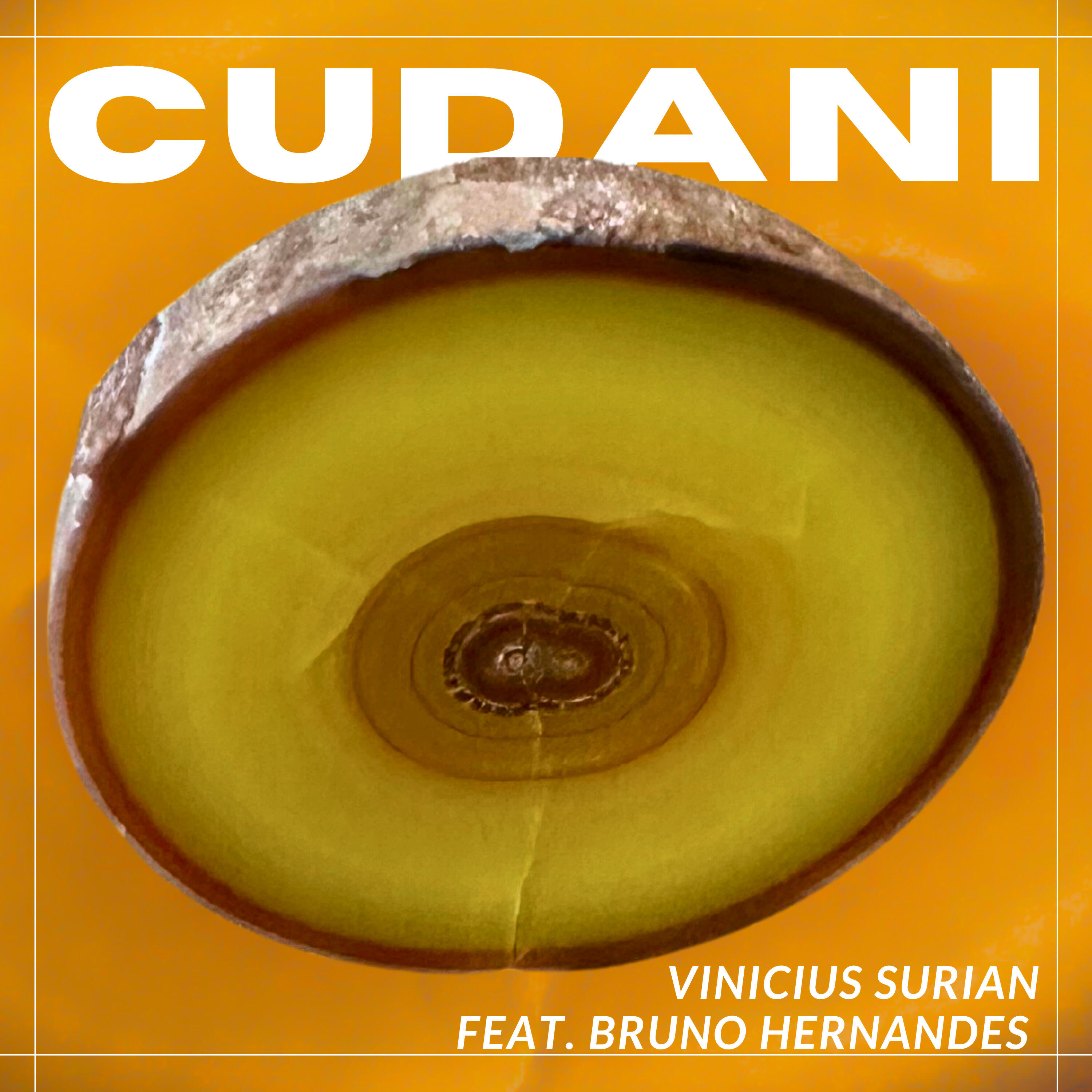 Релиз Cudani