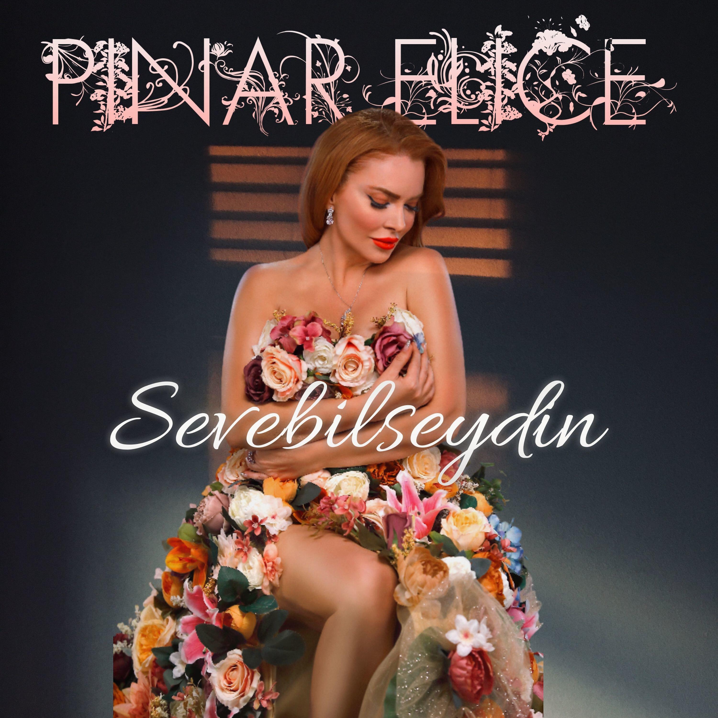Релиз Sevebilseydin