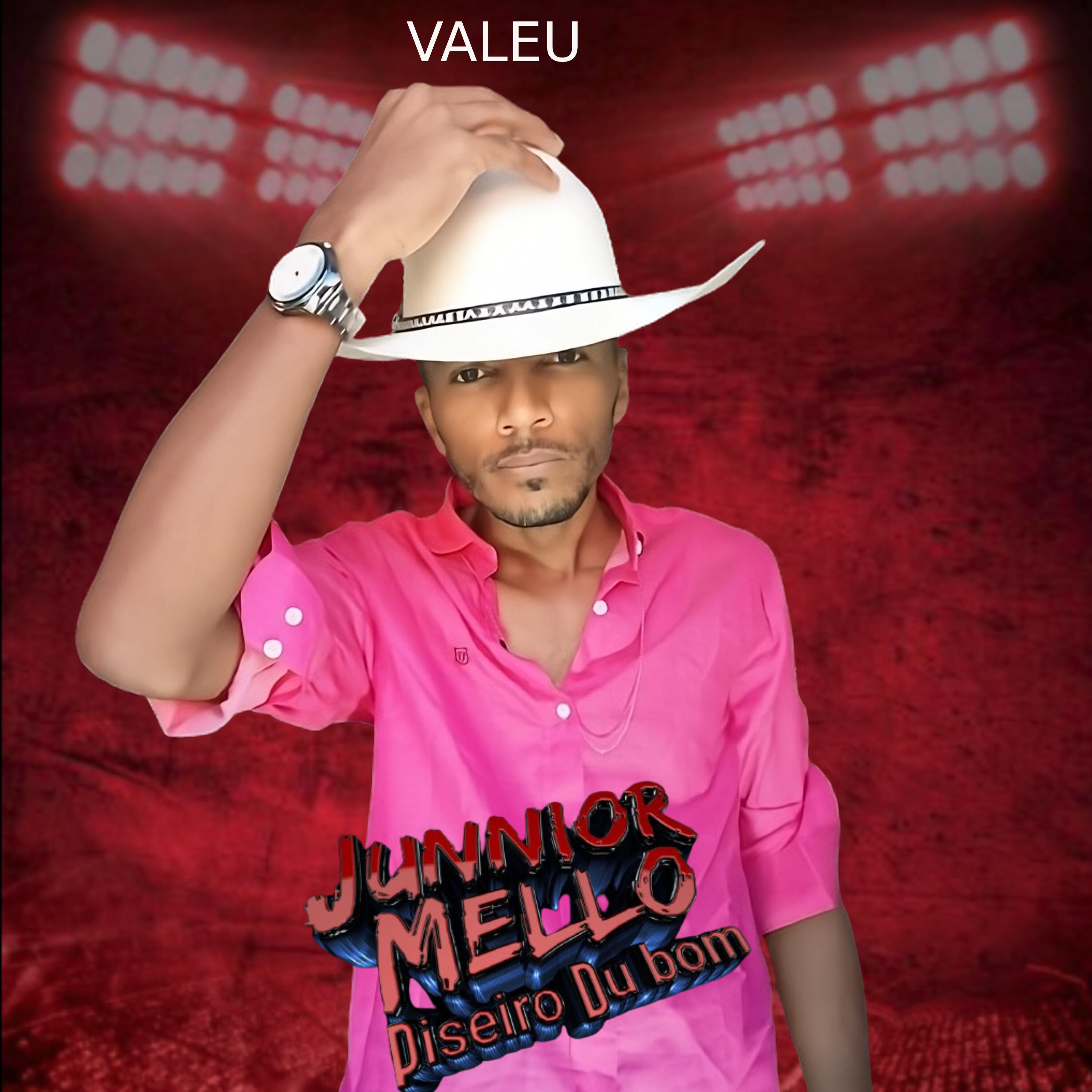 Релиз Valeu