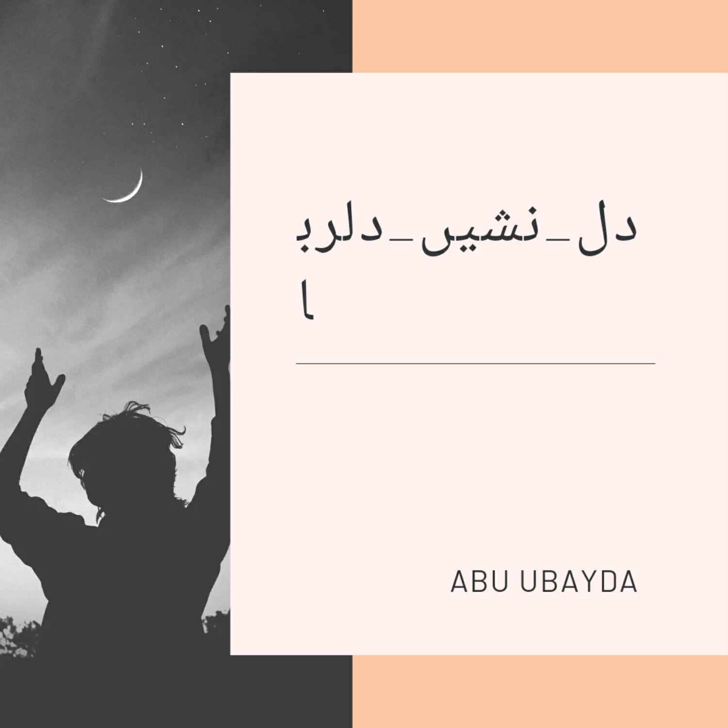 Релиз دل_نشیں_دلربا