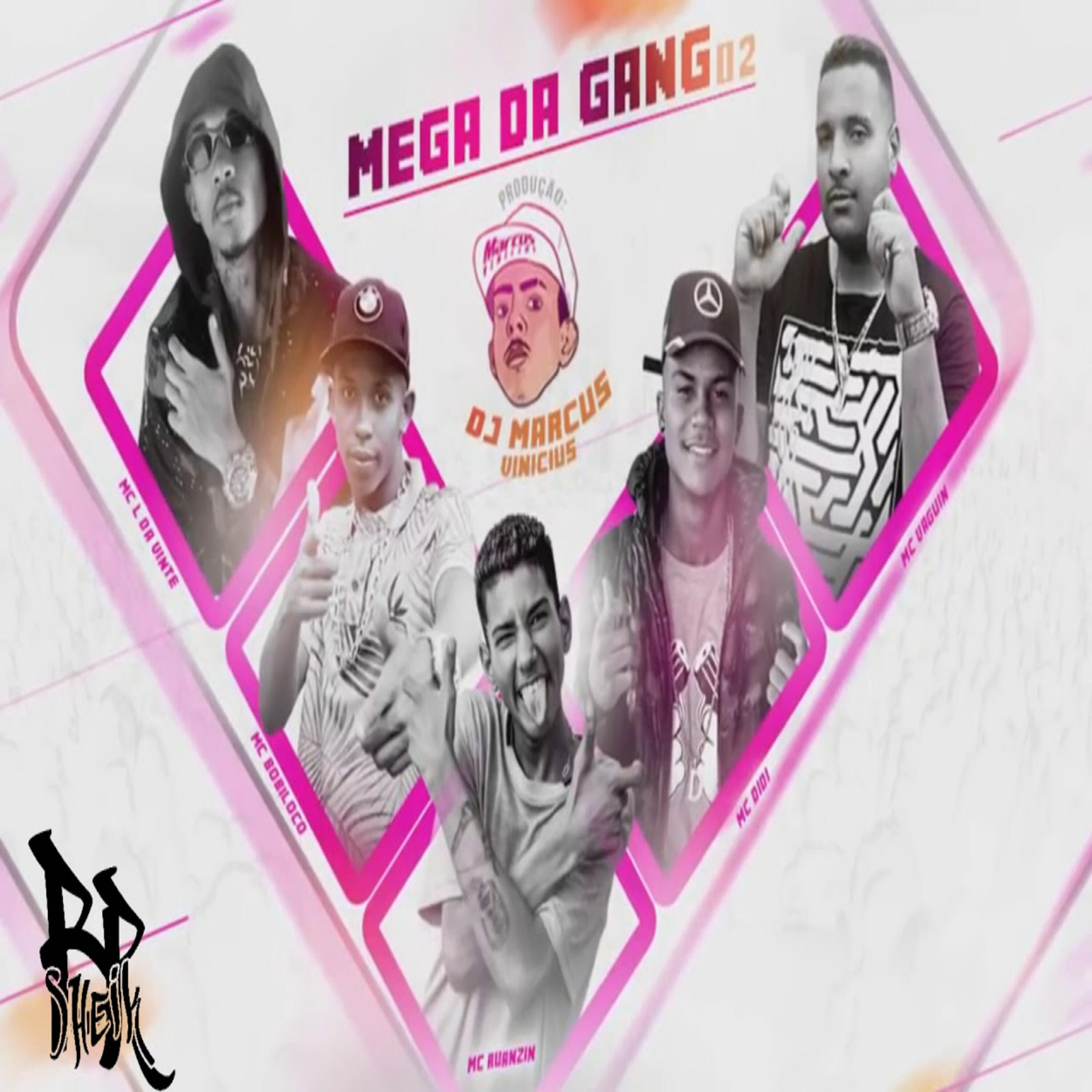 Скачать песню Mc Didi, MC L da Vinte, Mc Vaguin, MC Ruanzin, MC Bobiloco - Mega da Gang 02 бесплатно в MP3 для Android и iOS