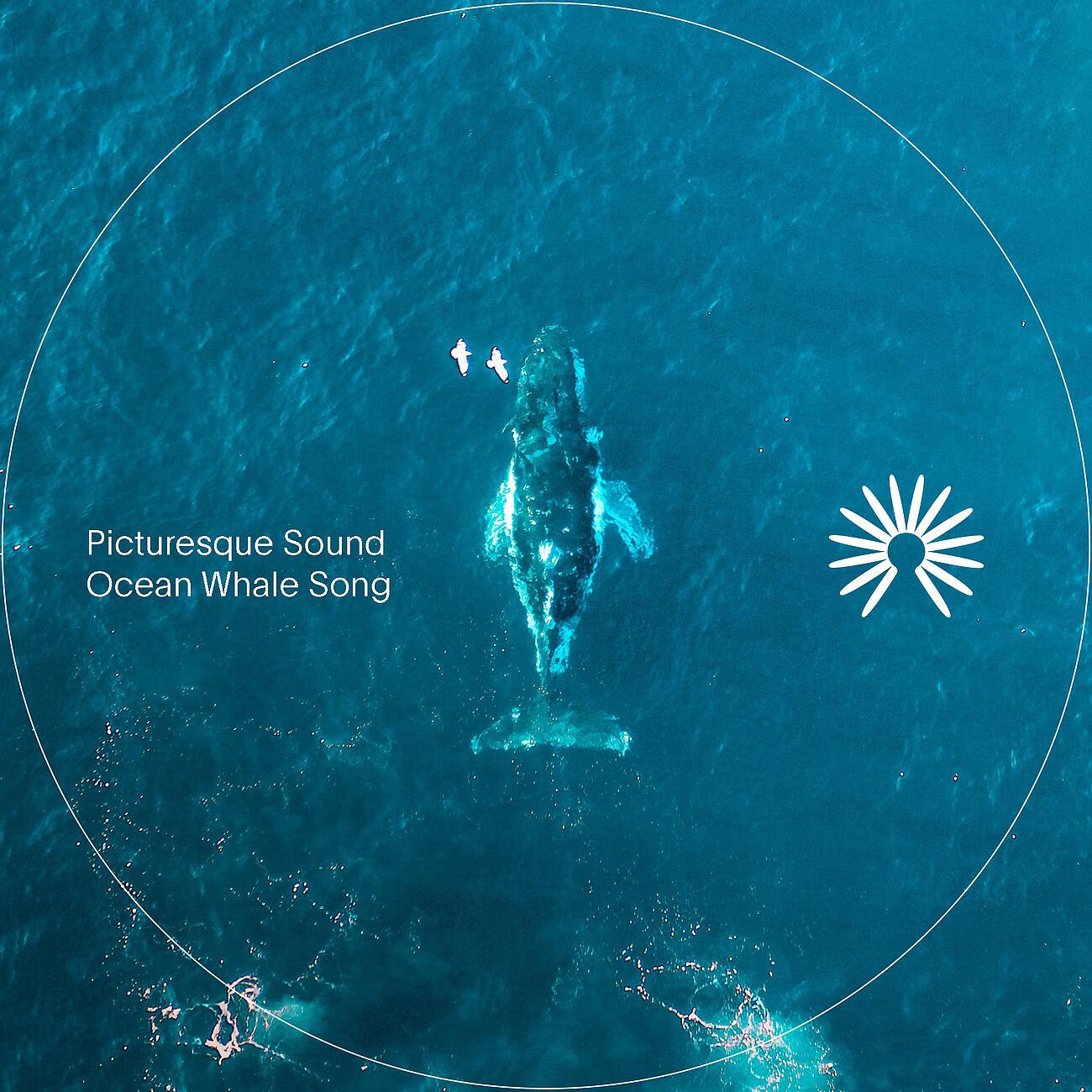 Релиз Ocean Whale Song