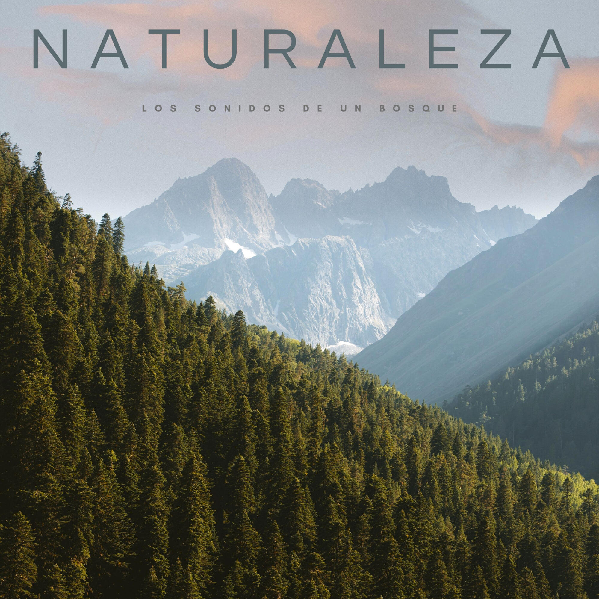 Релиз Naturaleza: Los Sonidos De Un Bosque