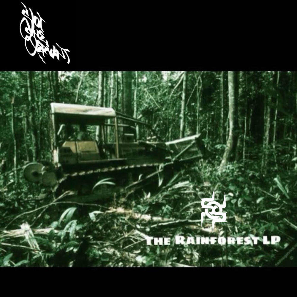 Релиз The Rainforest