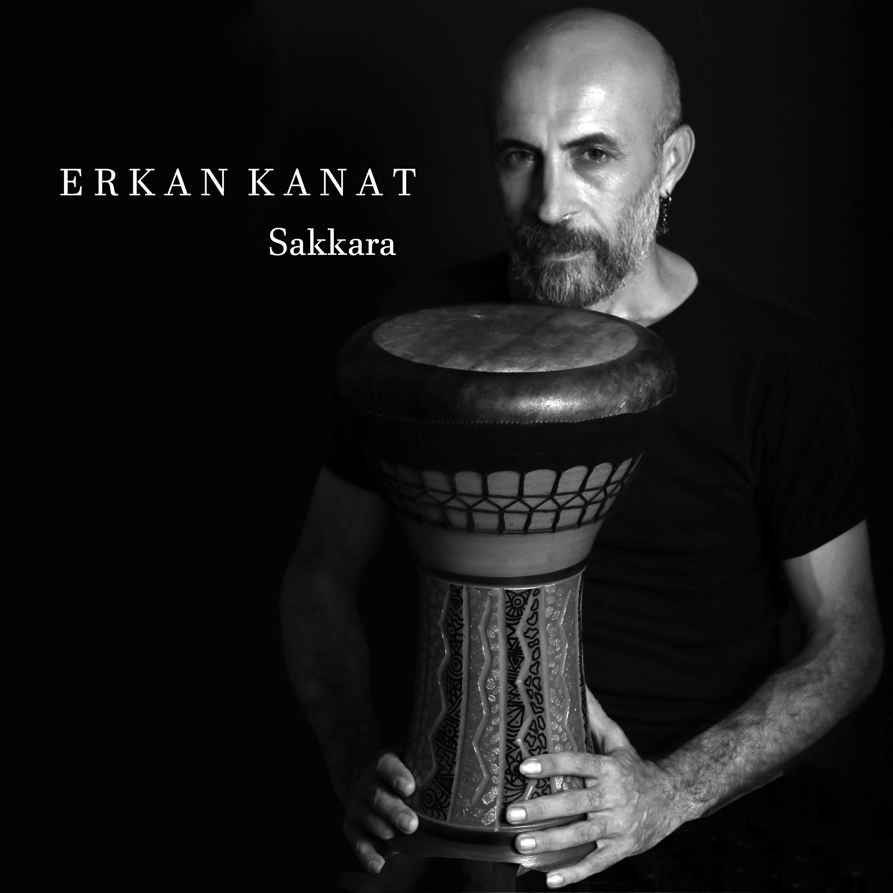 Постер альбома Sakkara