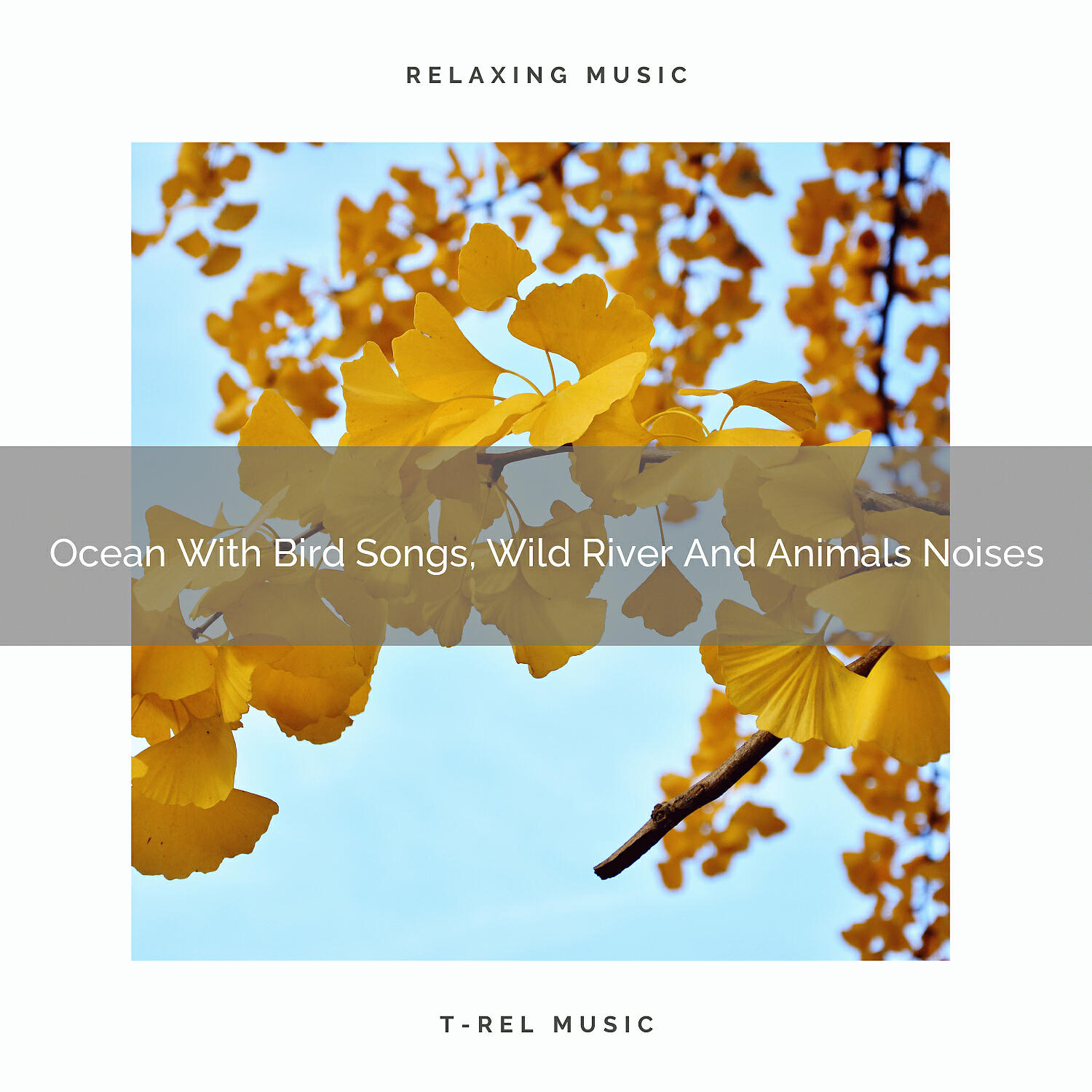 Релиз Ocean With Bird Songs, Wild River And Animals Noises
