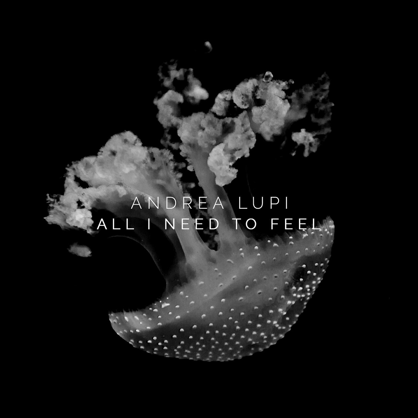 Релиз All I Need to Feel