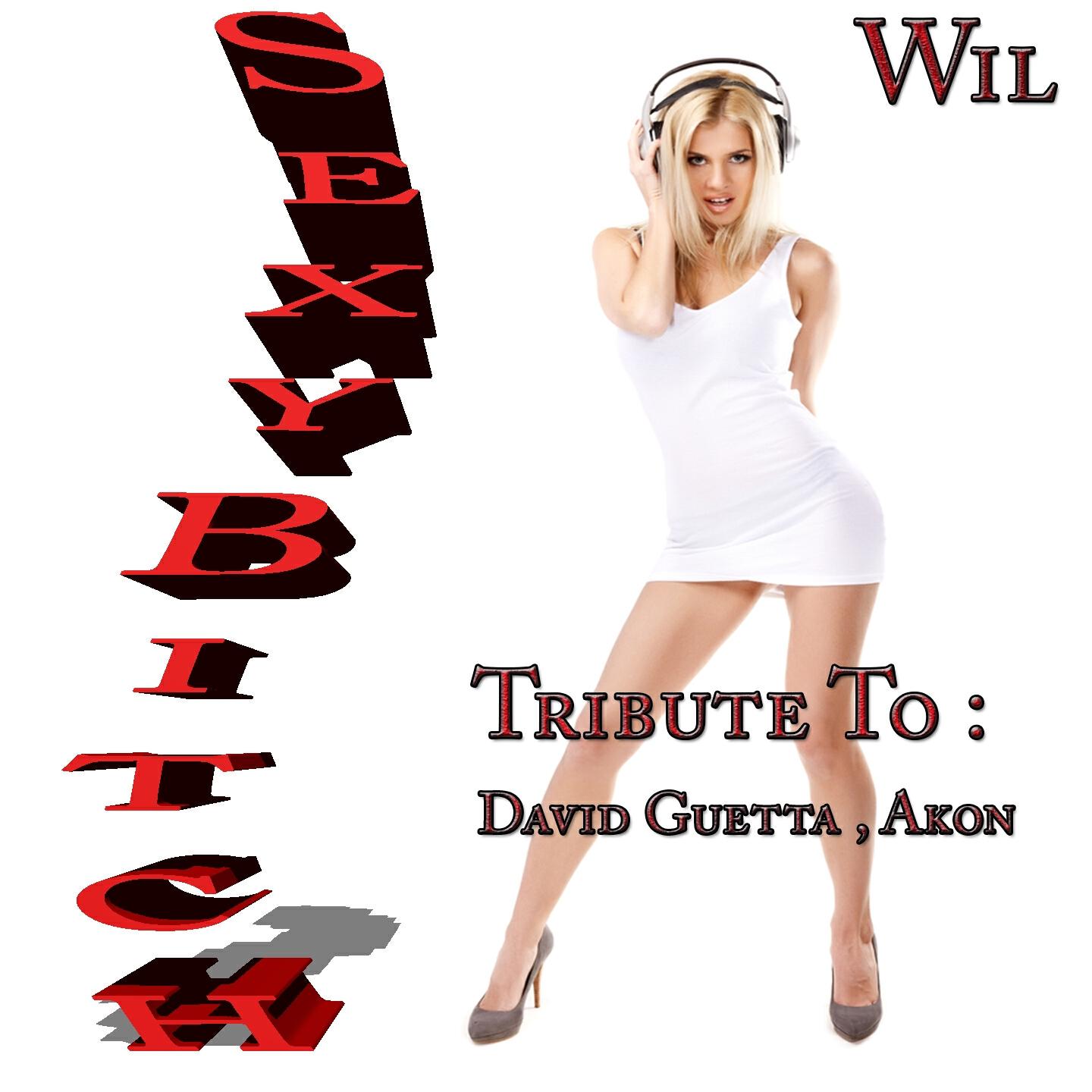 Релиз Sexy Bitch: Tribute to David Guetta, Akon
