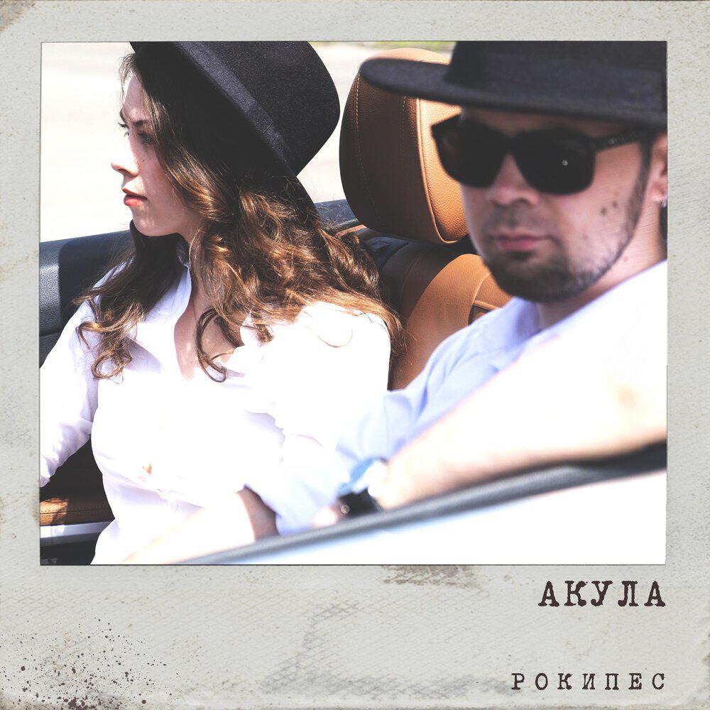 Релиз Акула