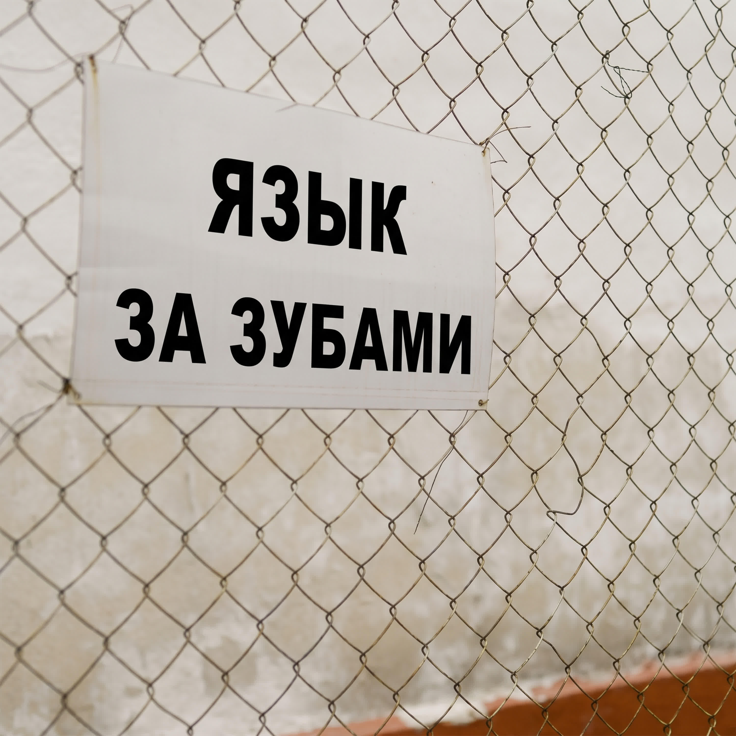 Релиз Язык за зубами