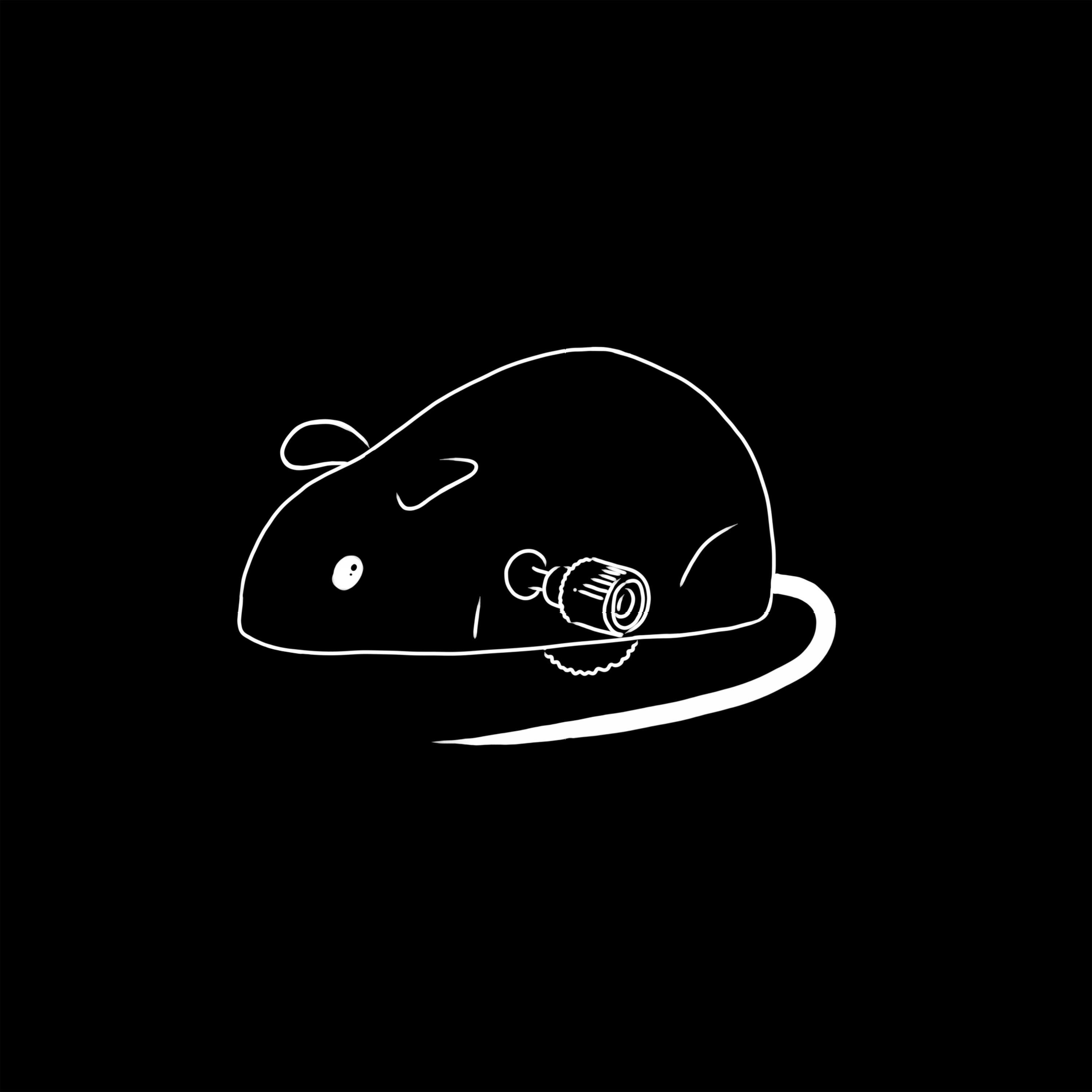 Релиз Как всё вернуть