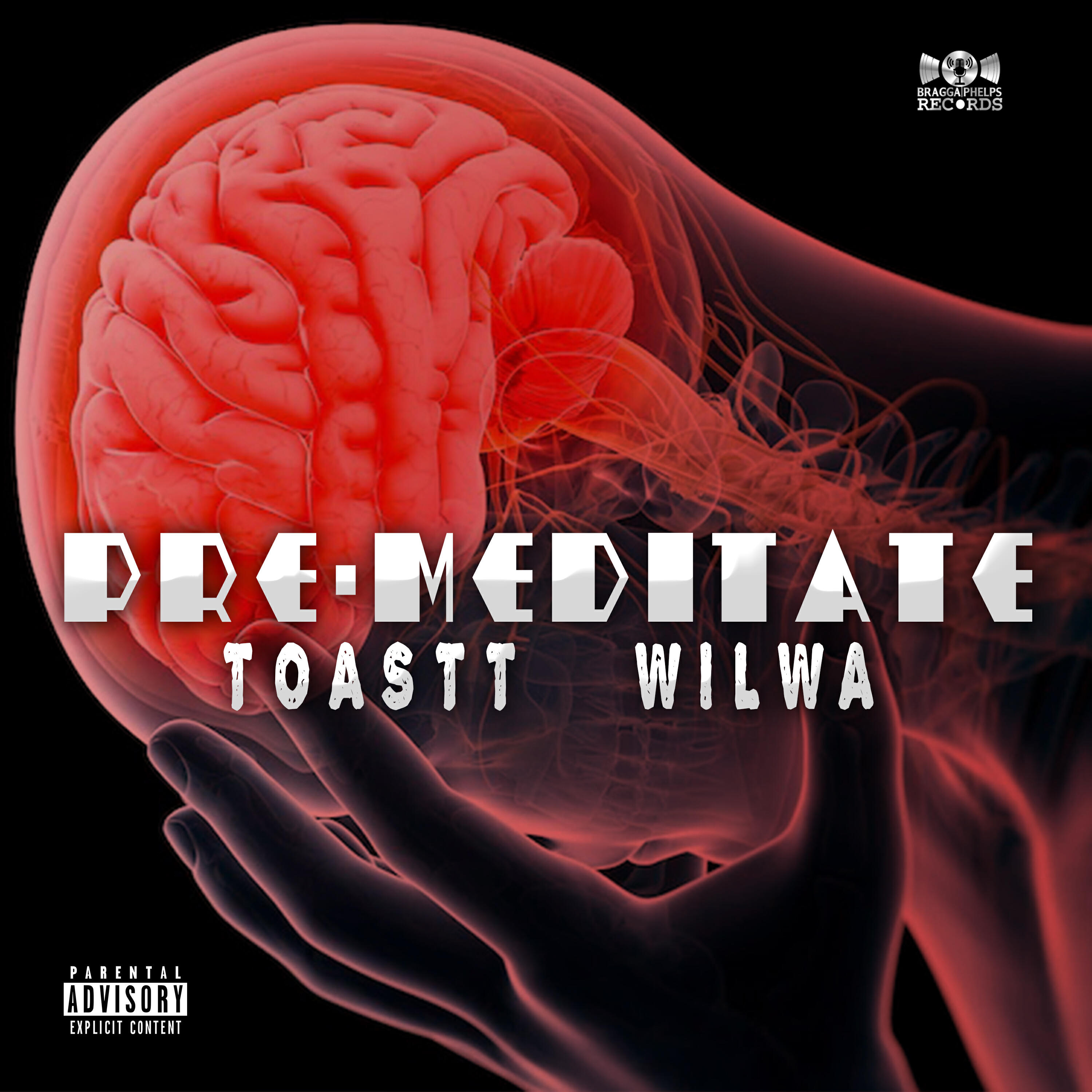 Релиз Pre-Meditate