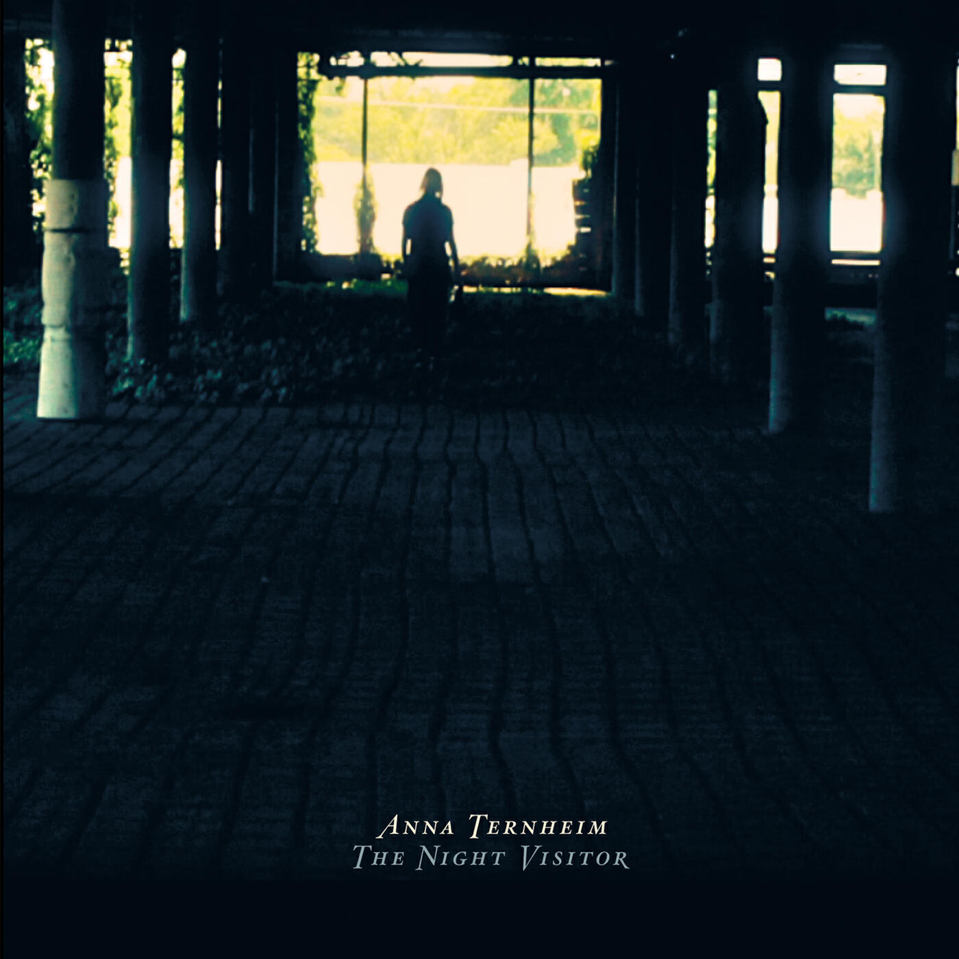 Релиз The Night Visitor
