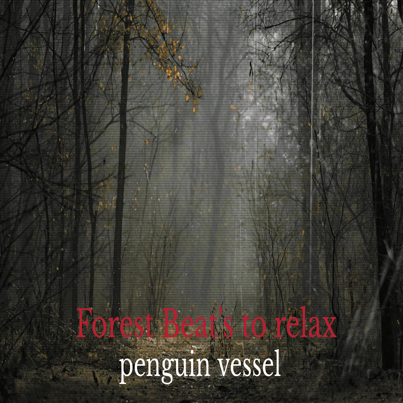 Постер альбома Forest Beats to Relax