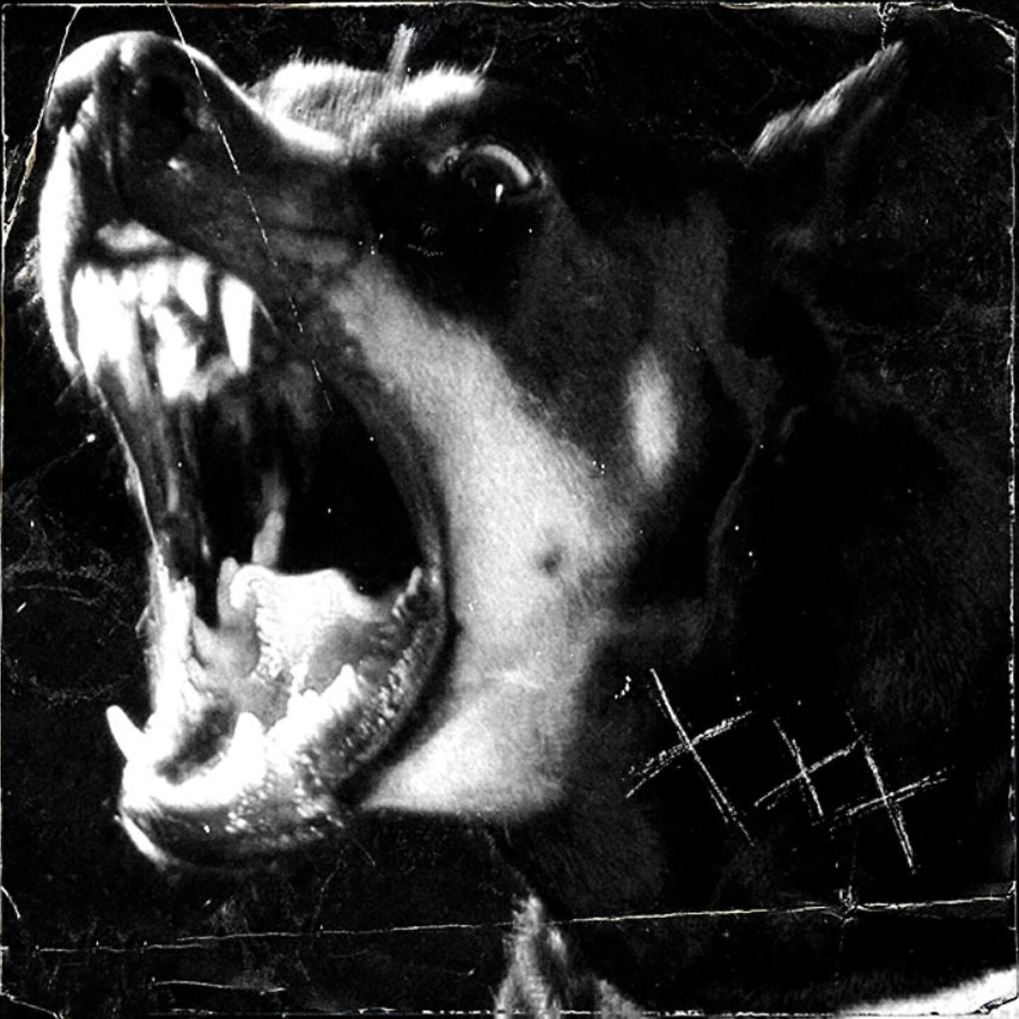 Релиз XXX