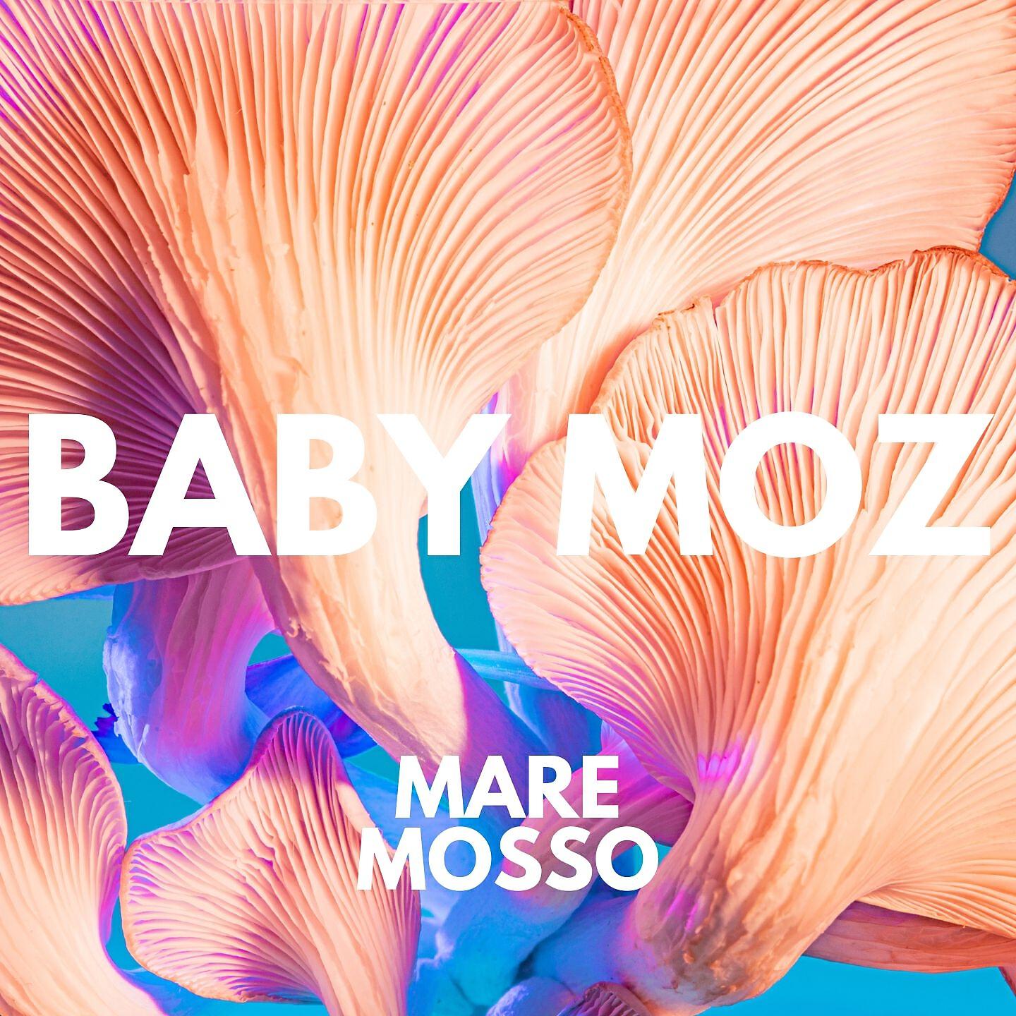 Релиз Mare Mosso