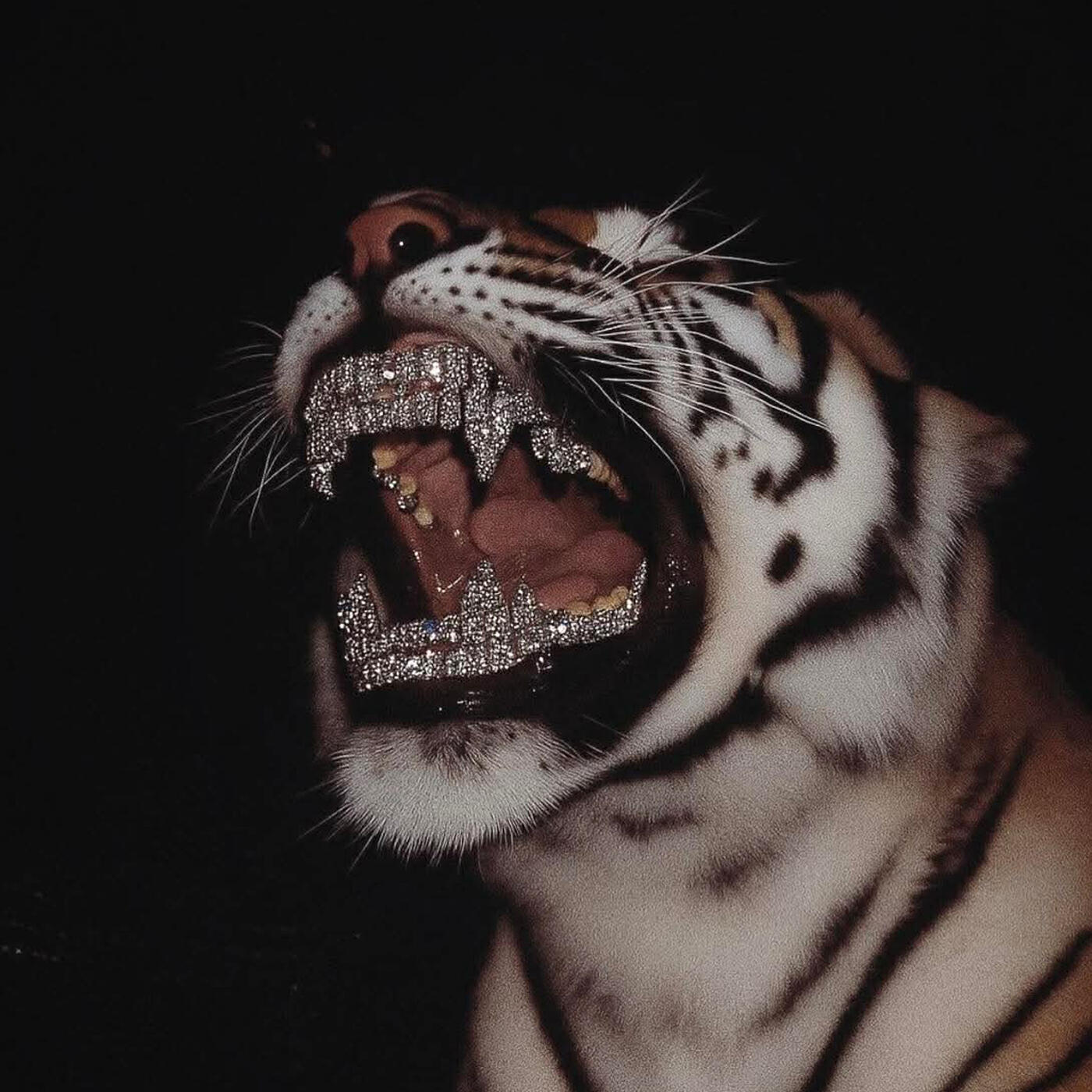 Релиз Night Teeth