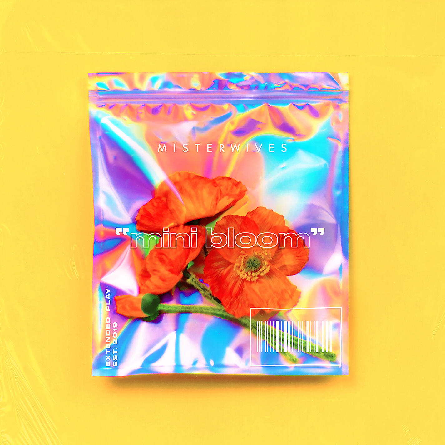 Релиз mini bloom