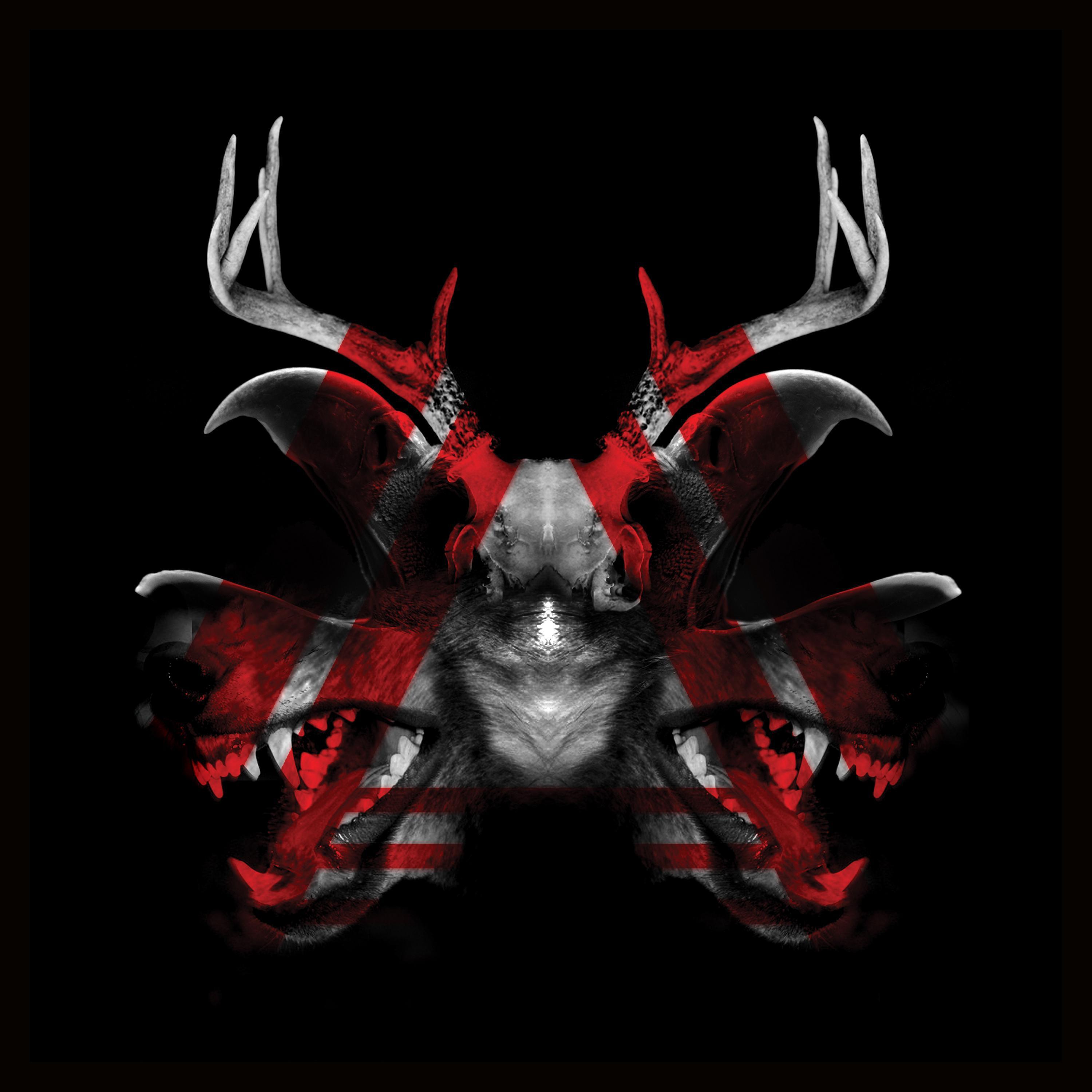 Релиз Enter The Grove