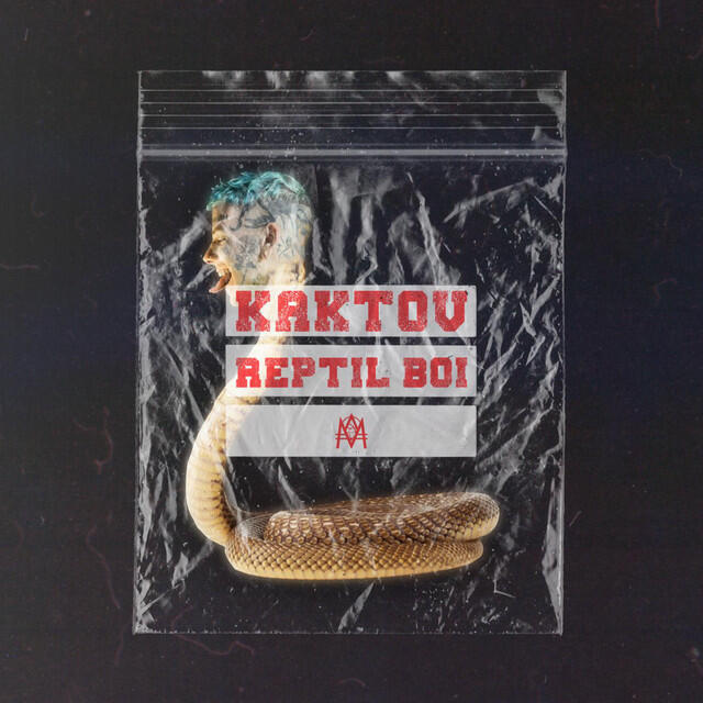 Релиз Reptil Boi