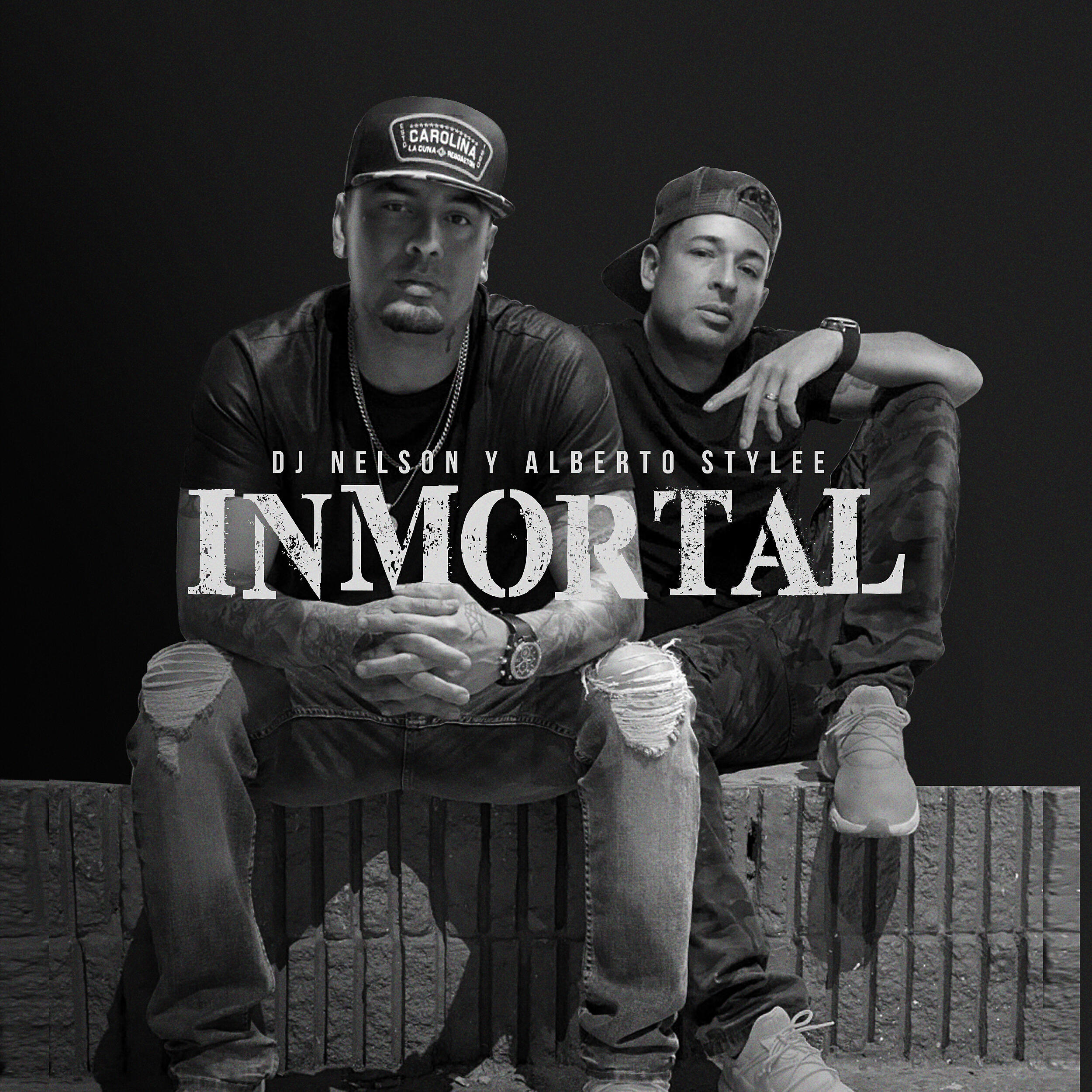 Релиз Inmortal