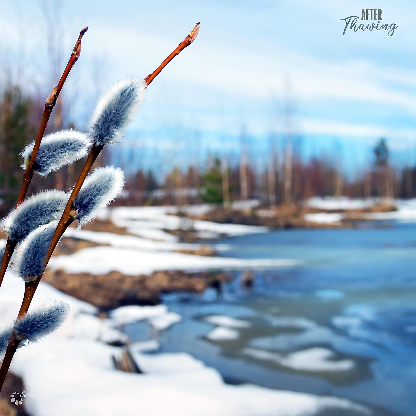Релиз After Thawing
