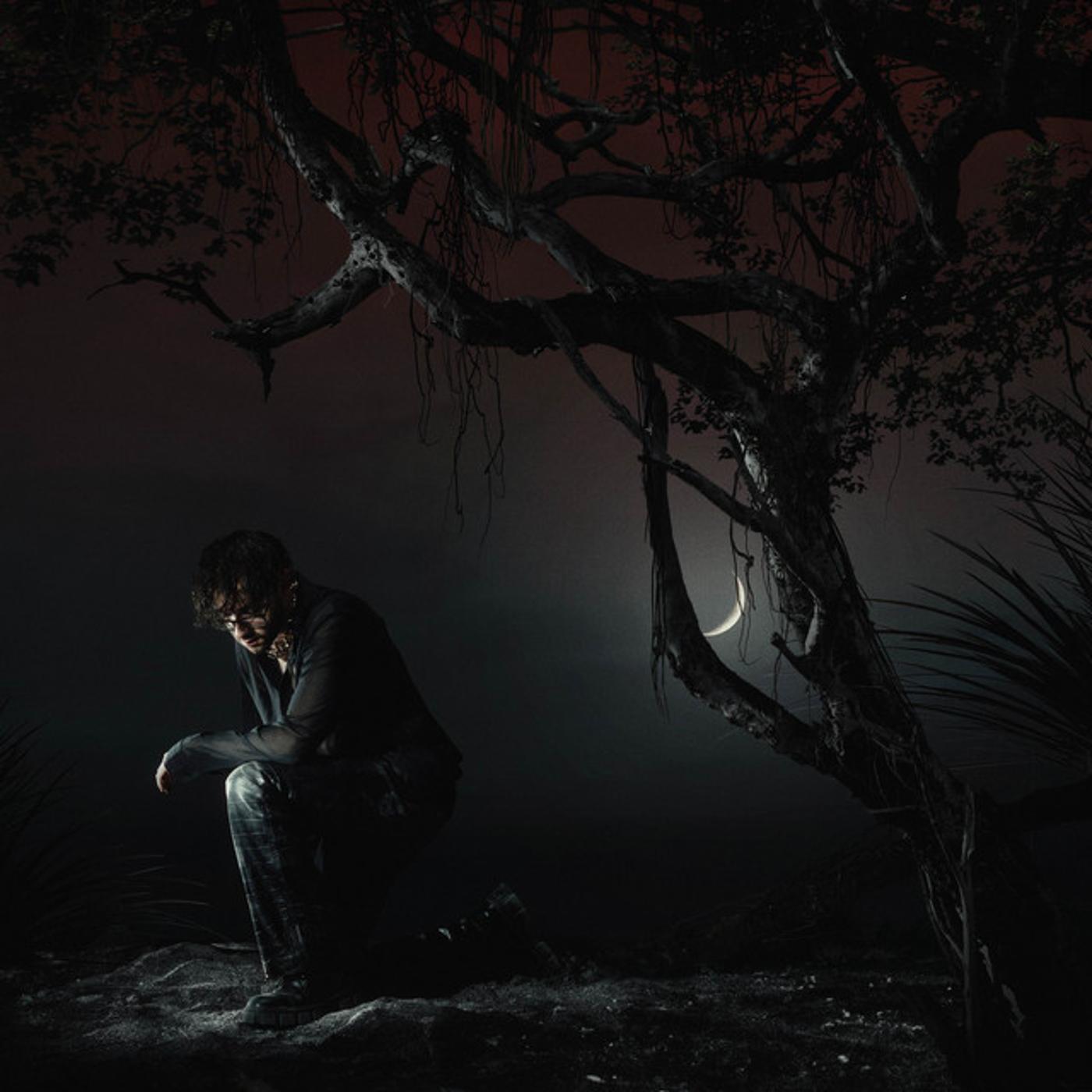 Релиз IF I HAD YOU...