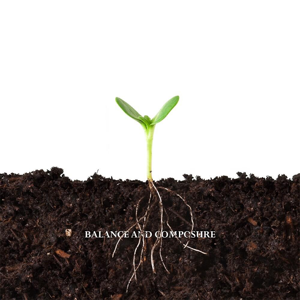 Релиз Balance and Composure\Tigers Jaw