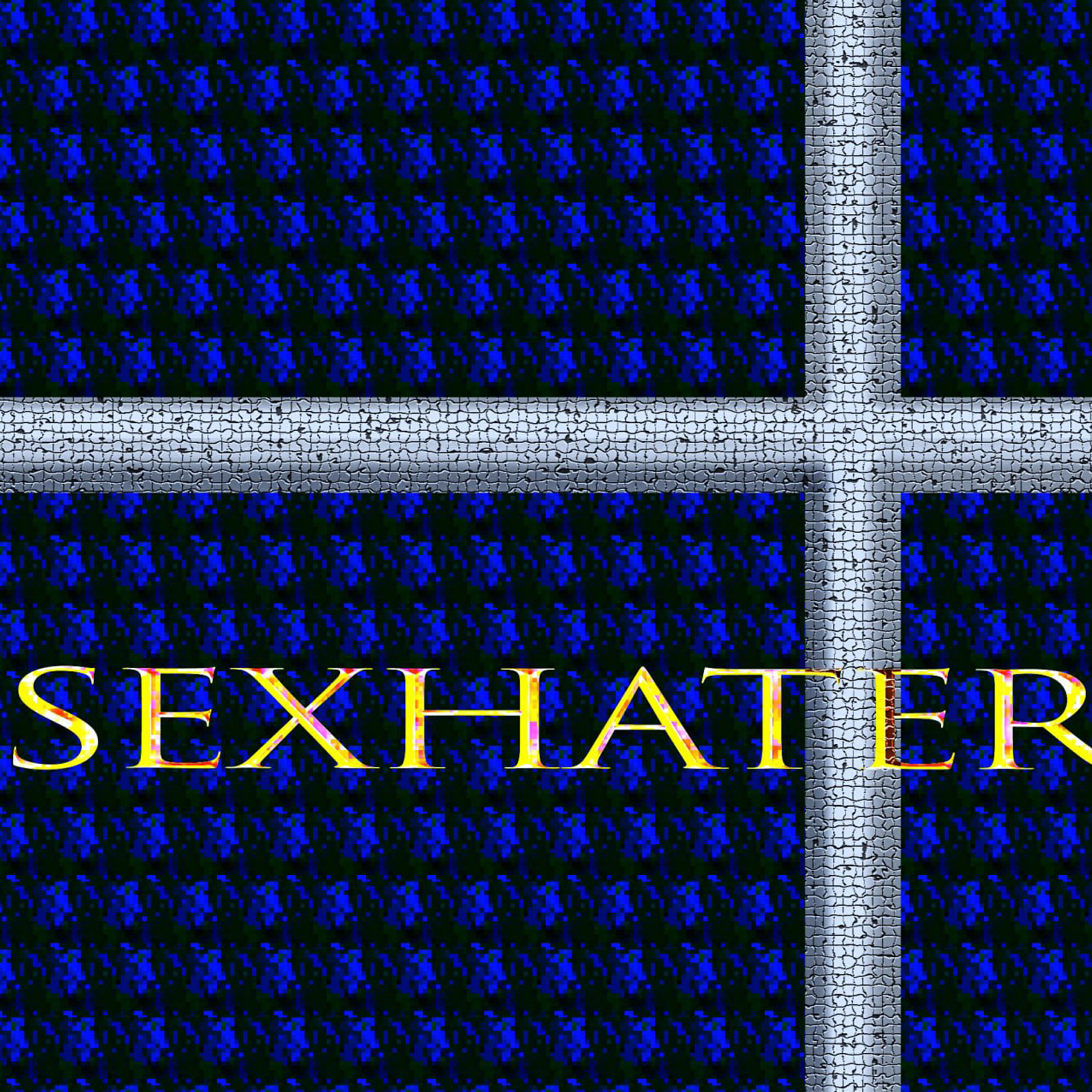 Sexhater